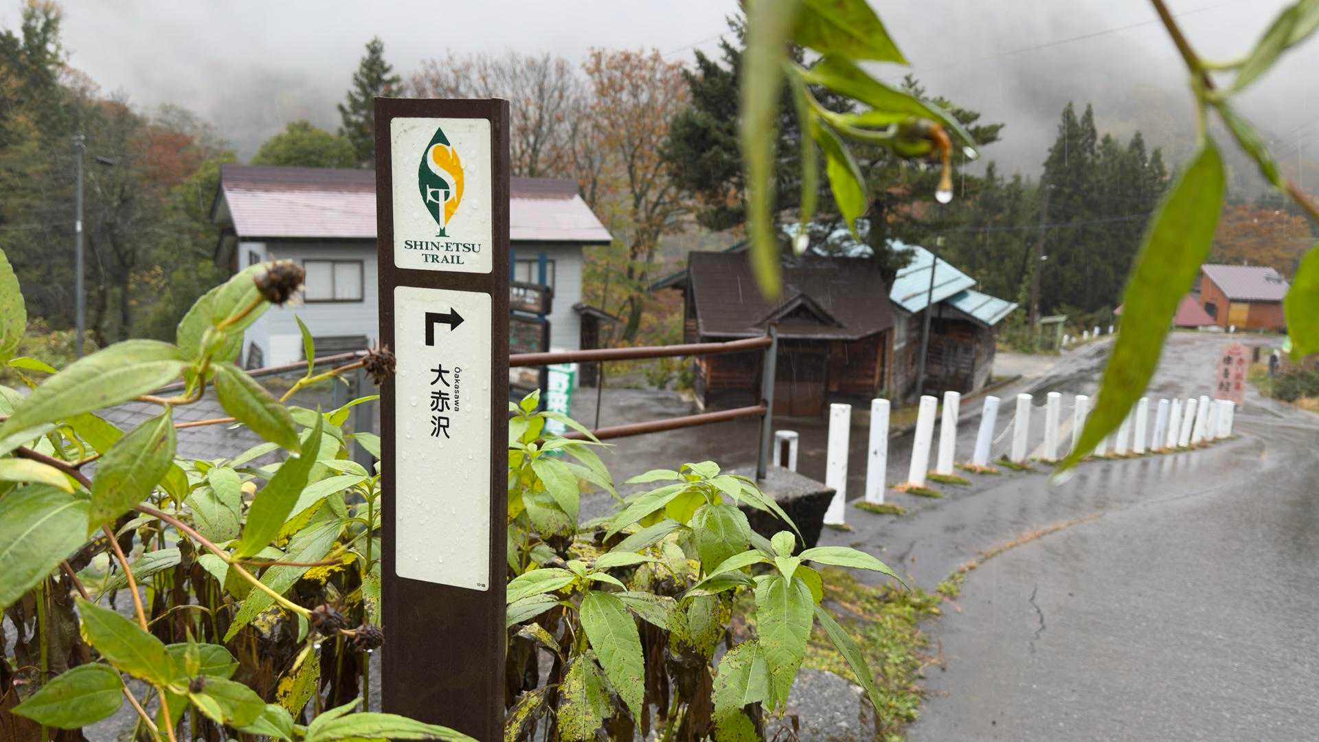 信越トレイル#5（sec.10-9-8／苗場山〜小赤沢〜結東〜森宮之原駅）、完走！ の写真 40