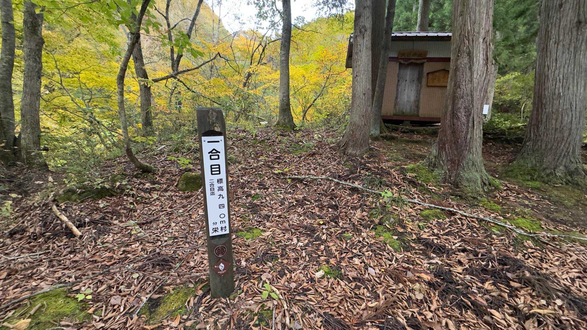 信越トレイル#5（sec.10-9-8／苗場山〜小赤沢〜結東〜森宮之原駅）、完走！ の写真 32