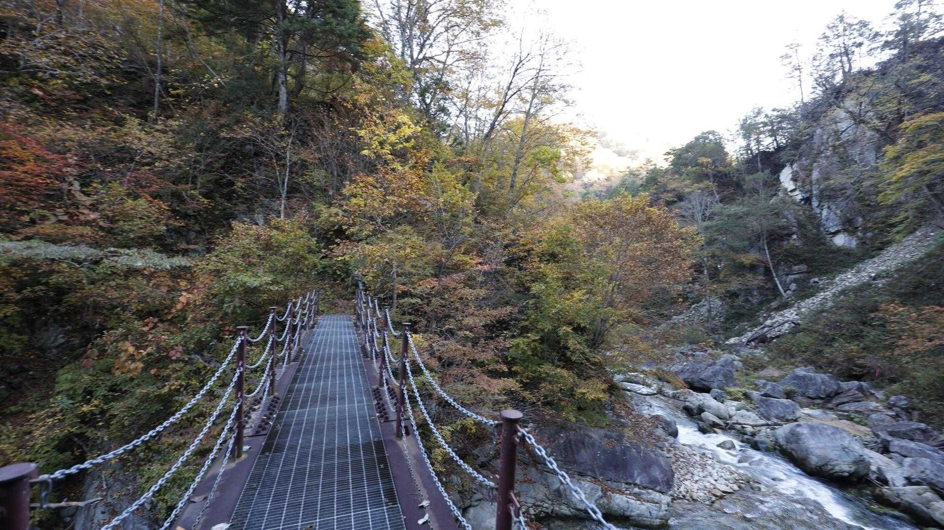 信越トレイル#5（sec.10-9-8／苗場山〜小赤沢〜結東〜森宮之原駅）、完走！ の写真 9