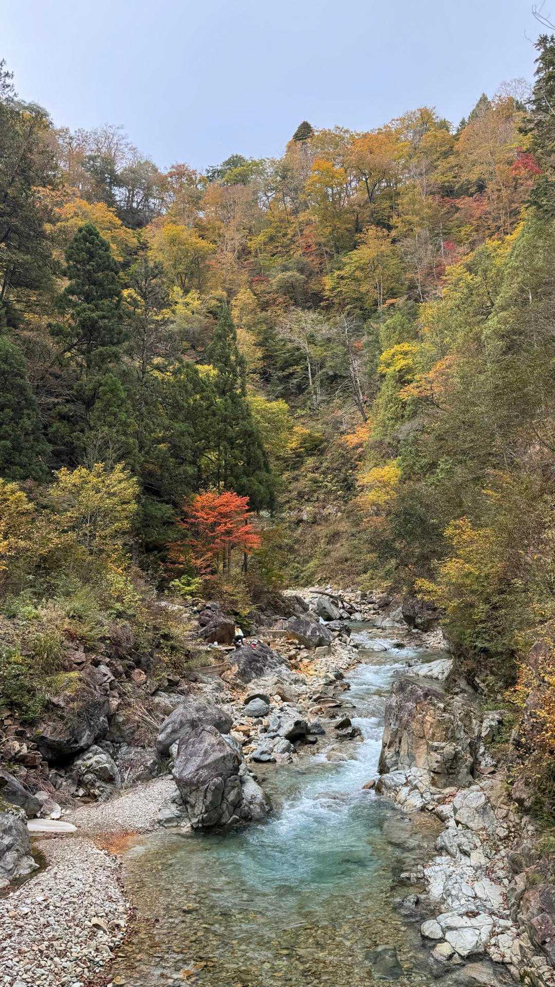 信越トレイル#5（sec.10-9-8／苗場山〜小赤沢〜結東〜森宮之原駅）、完走！ の写真 7