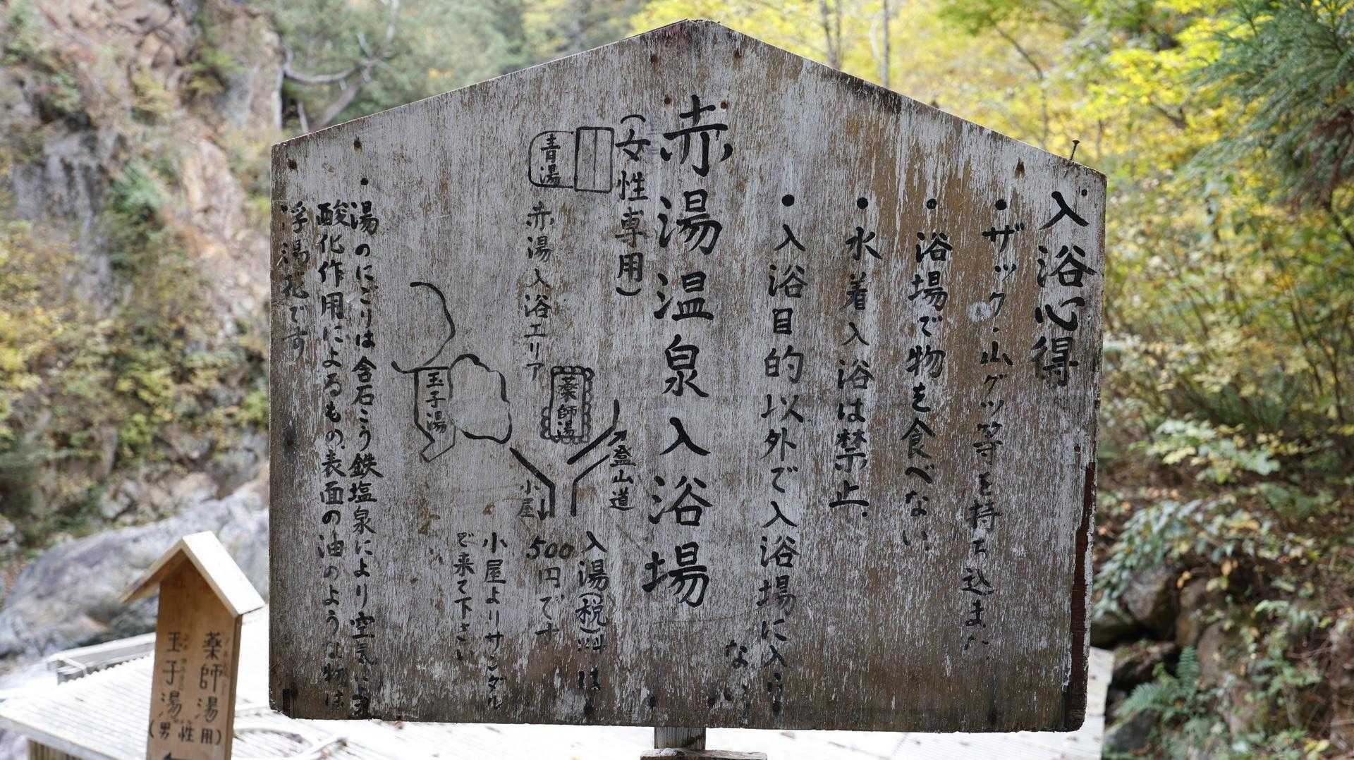 信越トレイル#5（sec.10-9-8／苗場山〜小赤沢〜結東〜森宮之原駅）、完走！ の写真 4