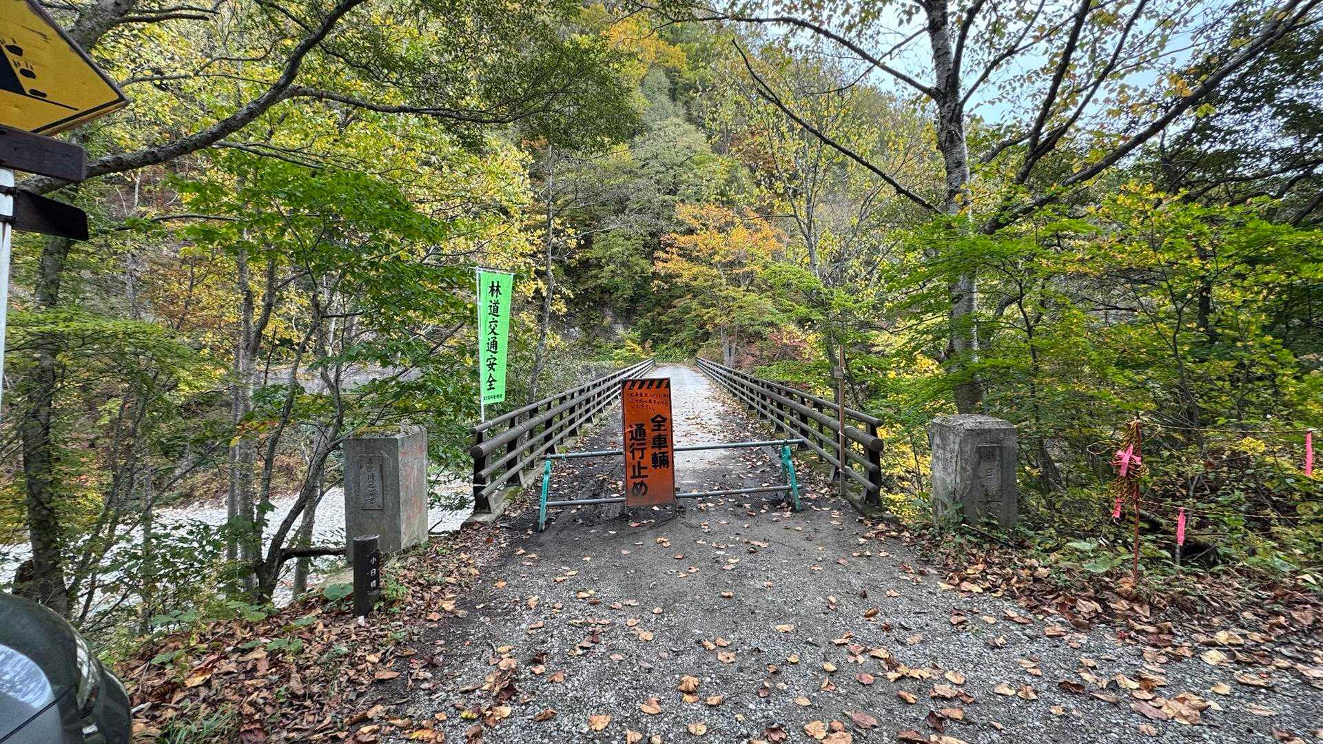 信越トレイル#5（sec.10-9-8／苗場山〜小赤沢〜結東〜森宮之原駅）、完走！ の写真 1