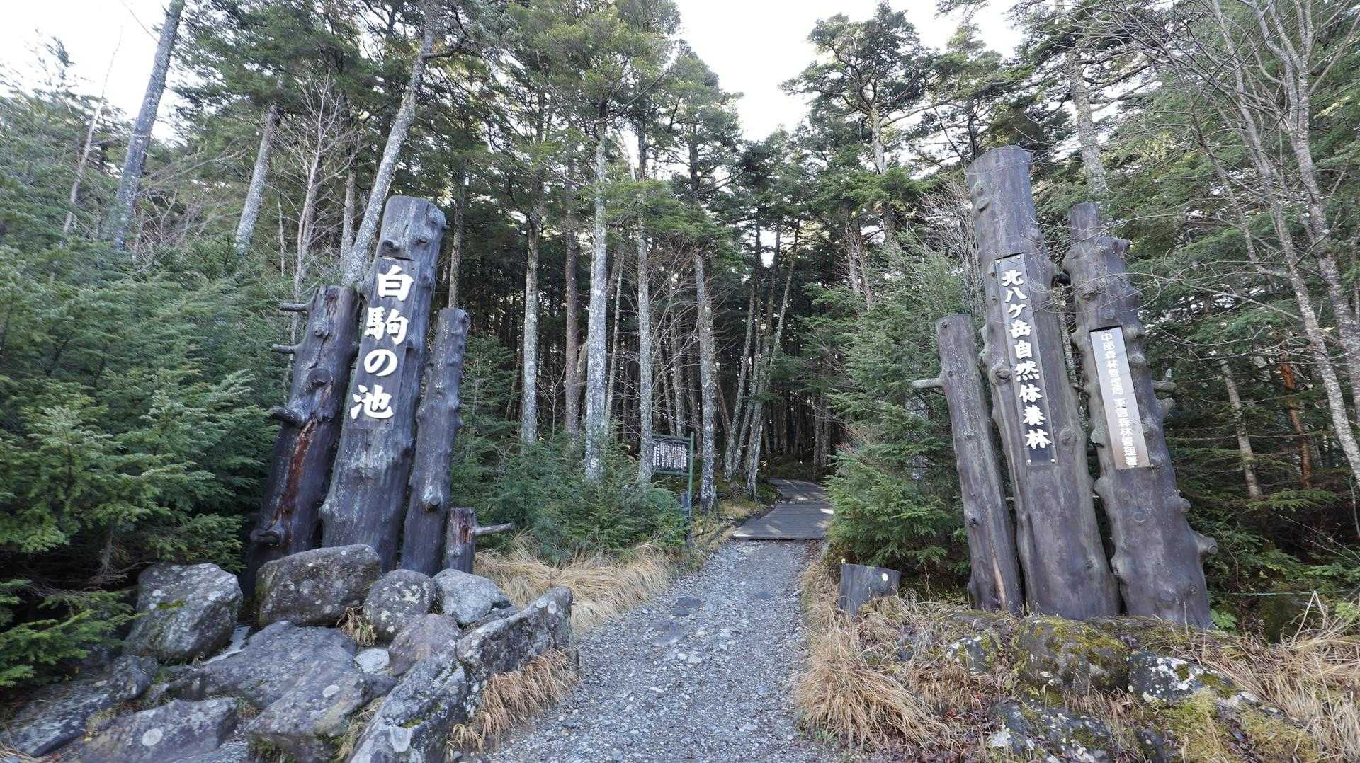 北八ヶ岳縦走（にゅう・東天狗岳・西天狗岳・中山） の写真 1