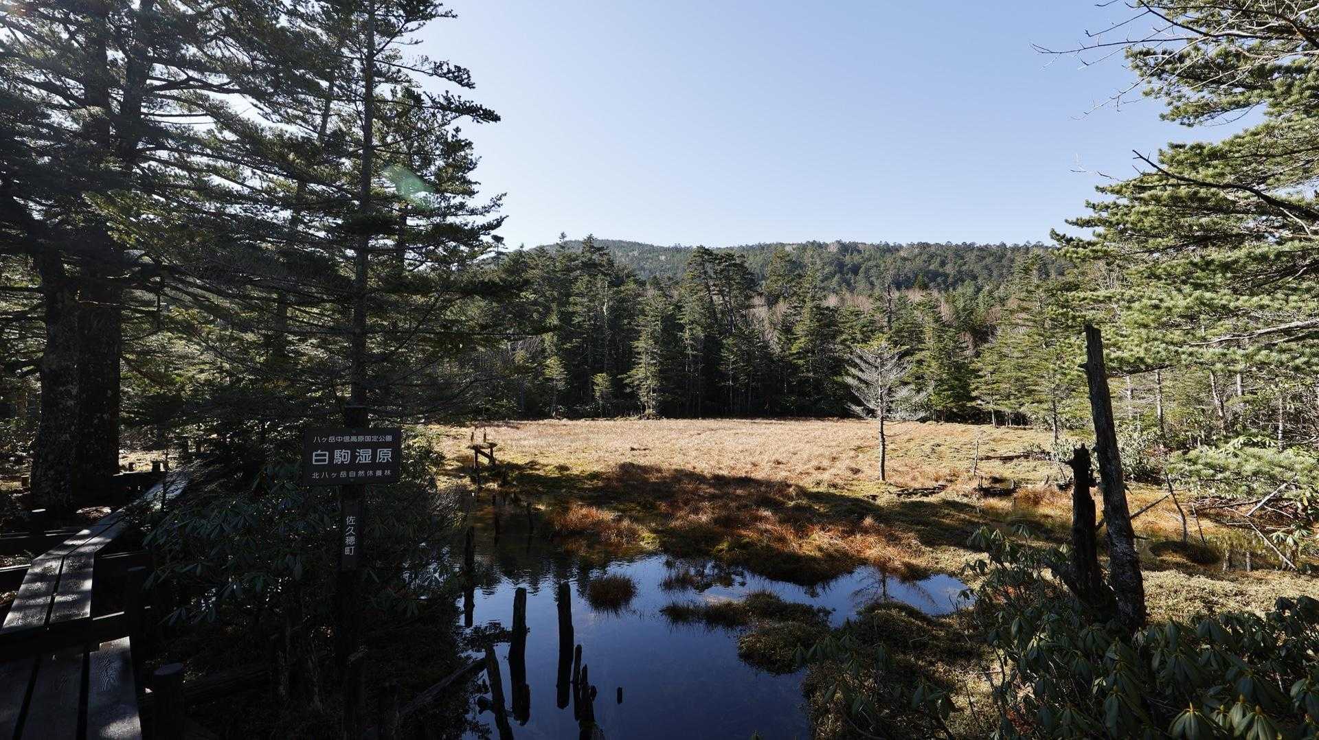 北八ヶ岳縦走（にゅう・東天狗岳・西天狗岳・中山） の写真 10