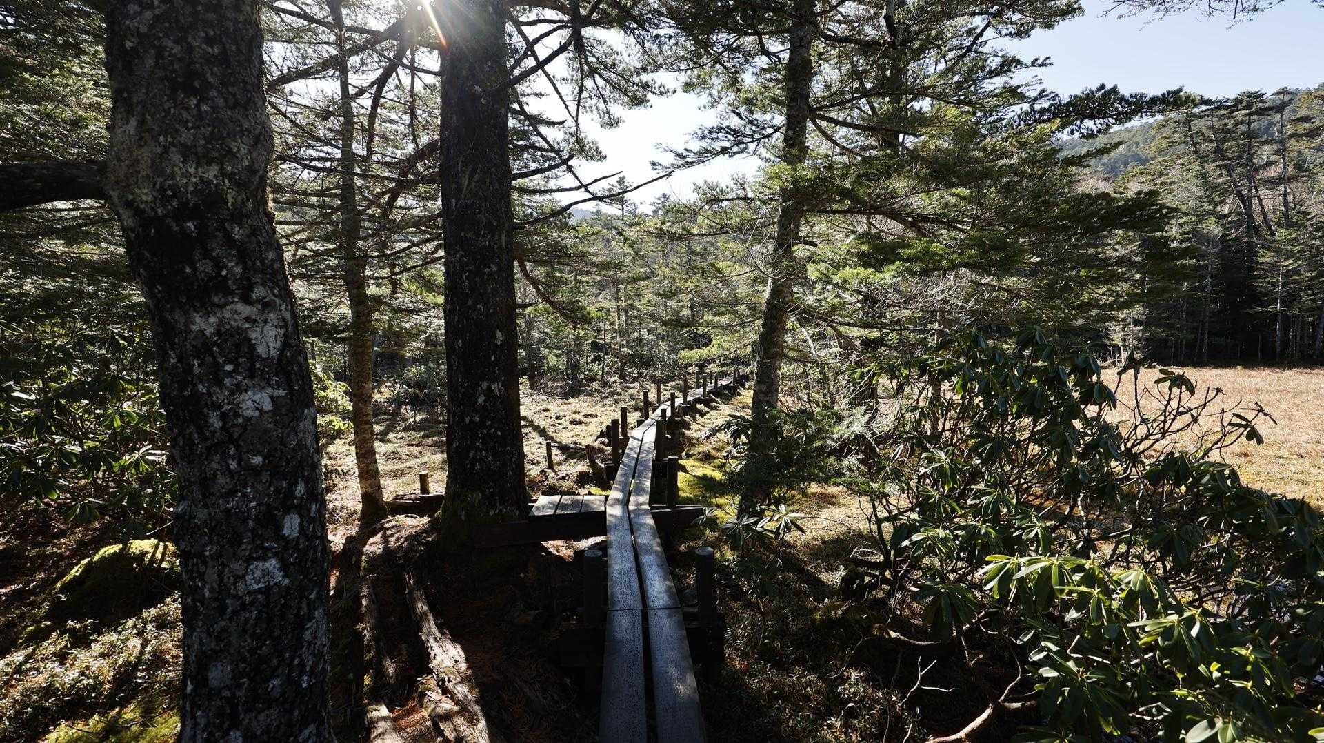 北八ヶ岳縦走（にゅう・東天狗岳・西天狗岳・中山） の写真 11