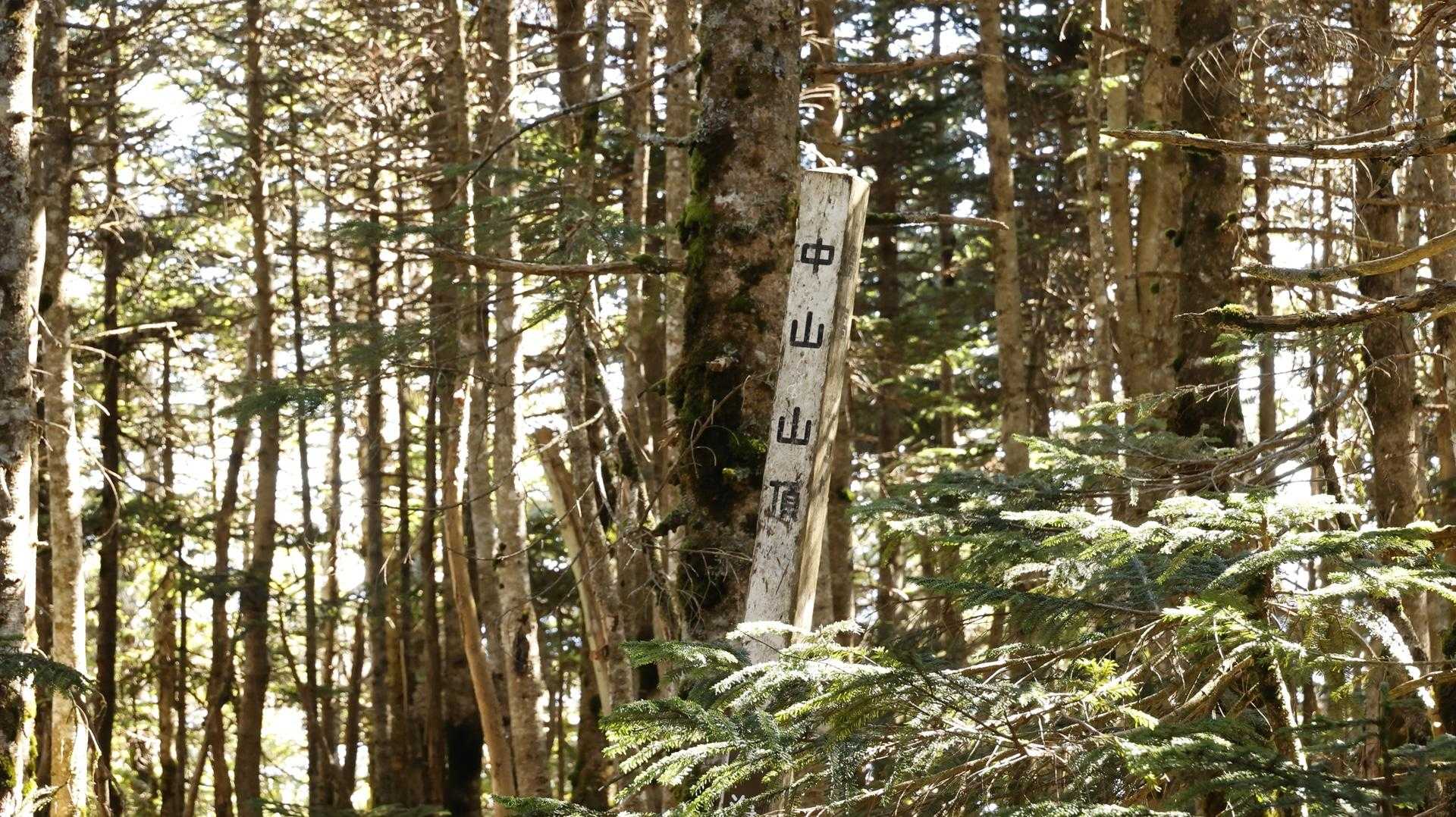 北八ヶ岳縦走（にゅう・東天狗岳・西天狗岳・中山） の写真 45
