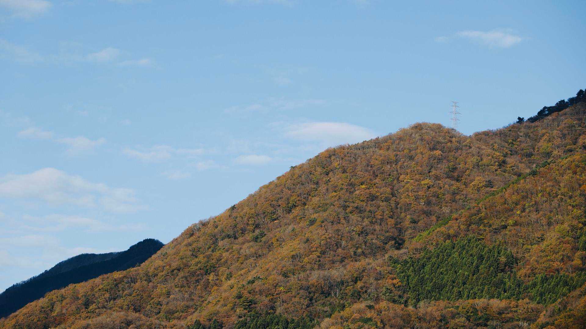大室山 の写真 1