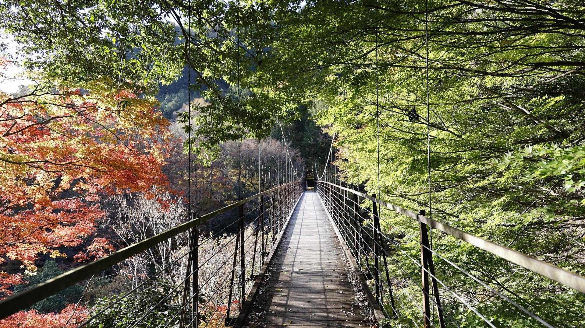 野原吊橋