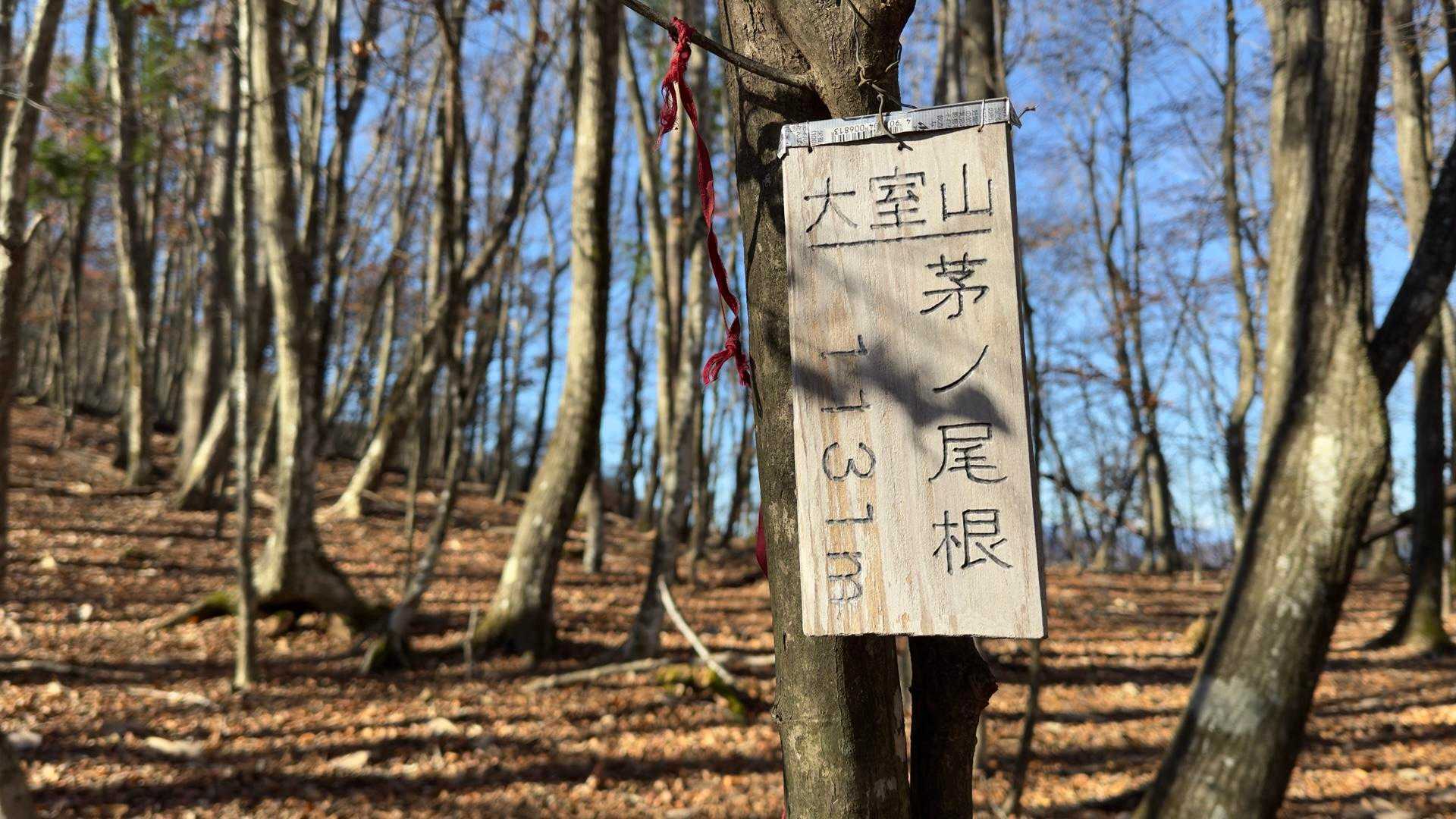 大室山 の写真 3
