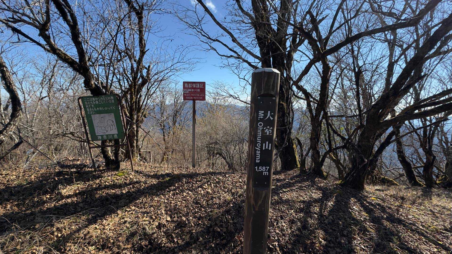大室山 の写真 6