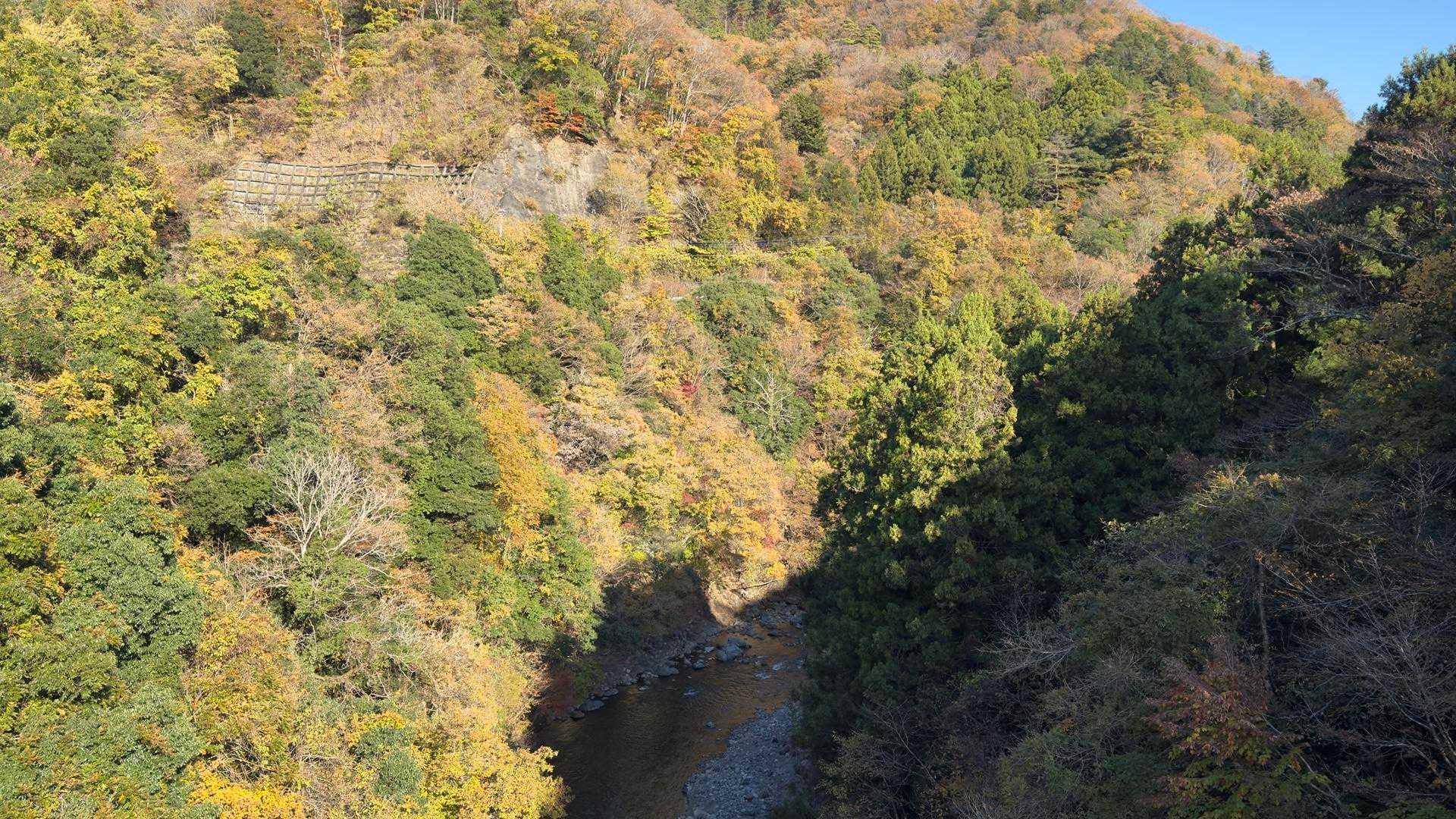 大室山 の写真 11