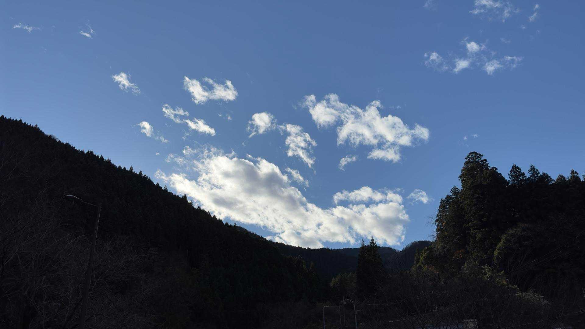 陣馬山・醍醐丸・生藤山・三国山縦走（関東ふれあいの道） の写真 20