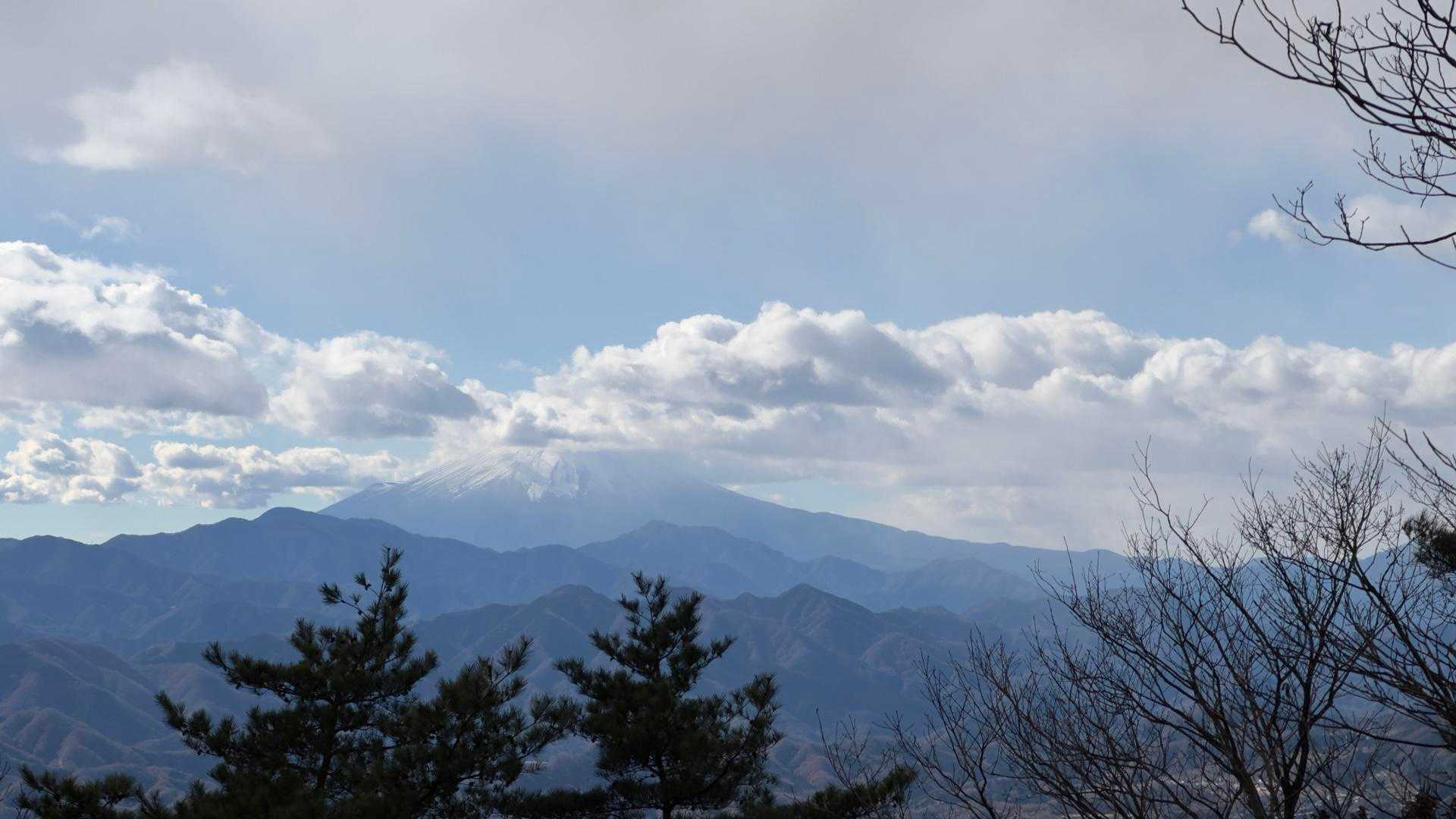 陣馬山・醍醐丸・生藤山・三国山縦走（関東ふれあいの道） の写真 12