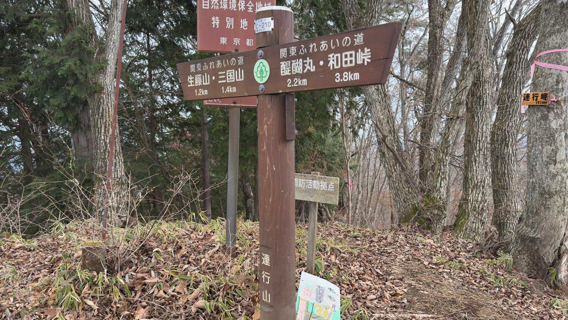 陣馬山・醍醐丸・生藤山・三国山縦走（関東ふれあいの道） の写真 10