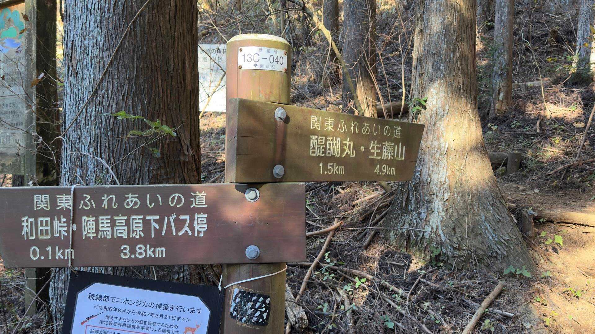 陣馬山・醍醐丸・生藤山・三国山縦走（関東ふれあいの道） の写真 8