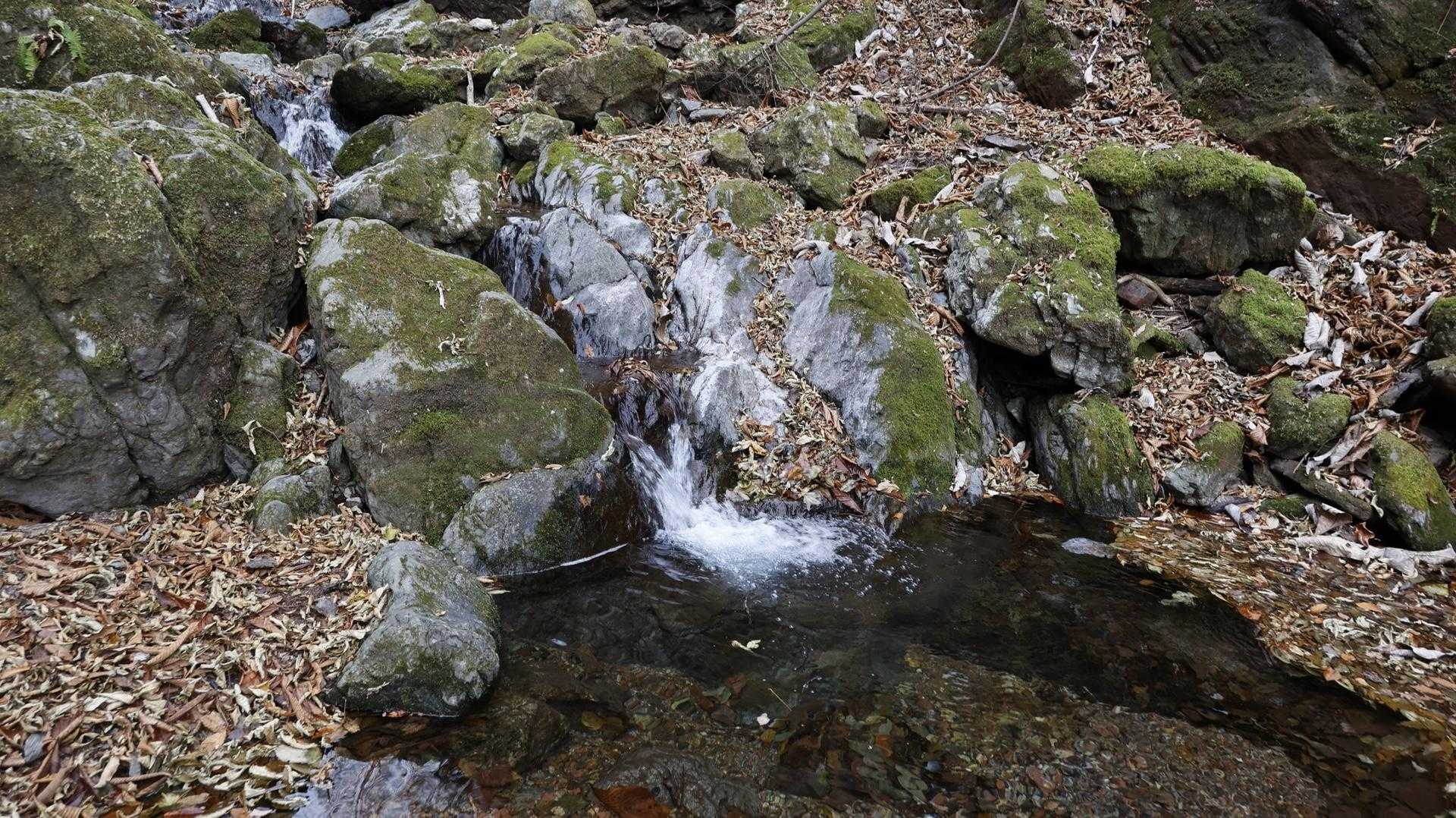 両神山 の写真 5