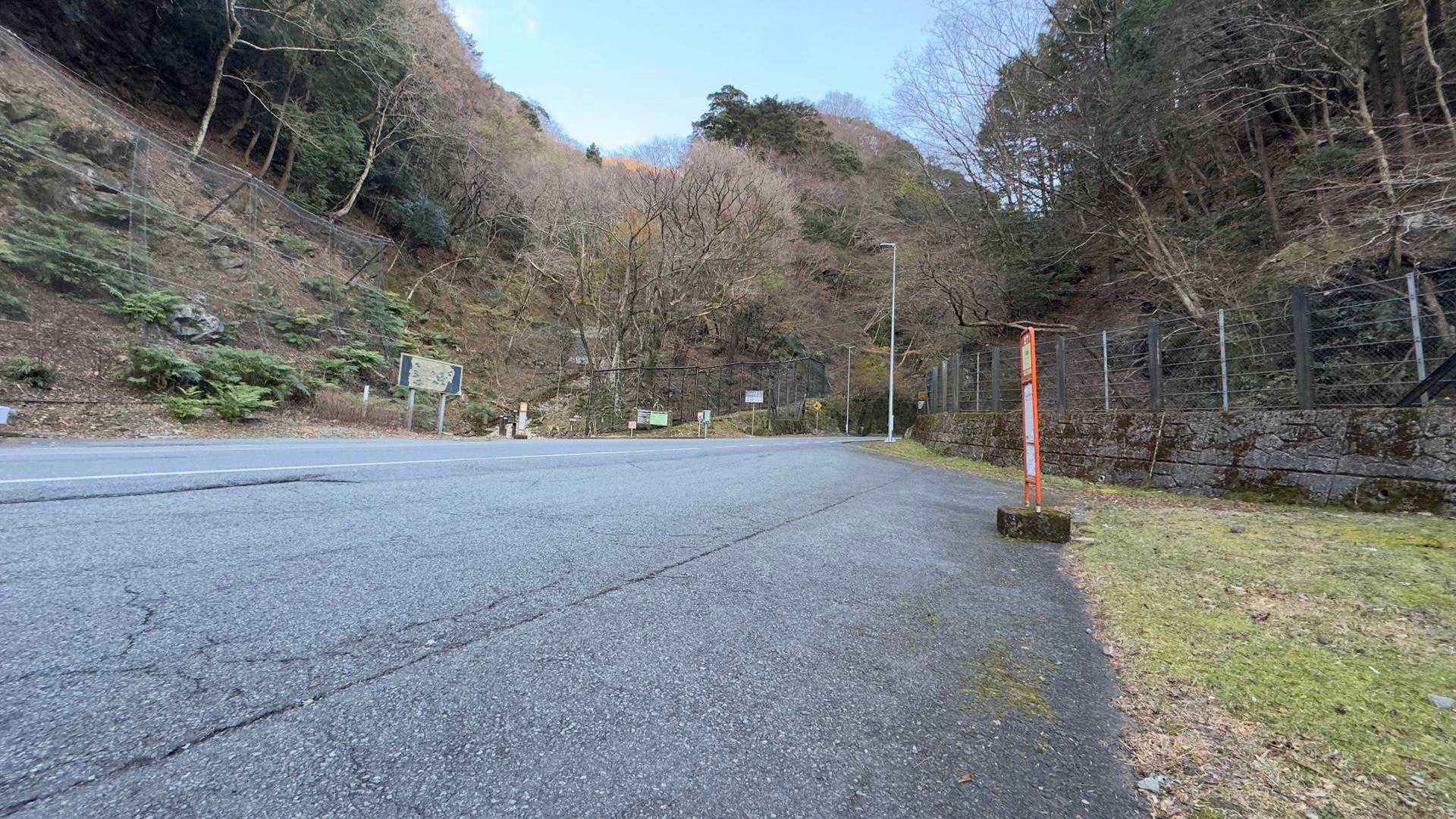 天城山縦走（万二郎岳〜万三郎岳〜小岳〜天城峠） の写真 26