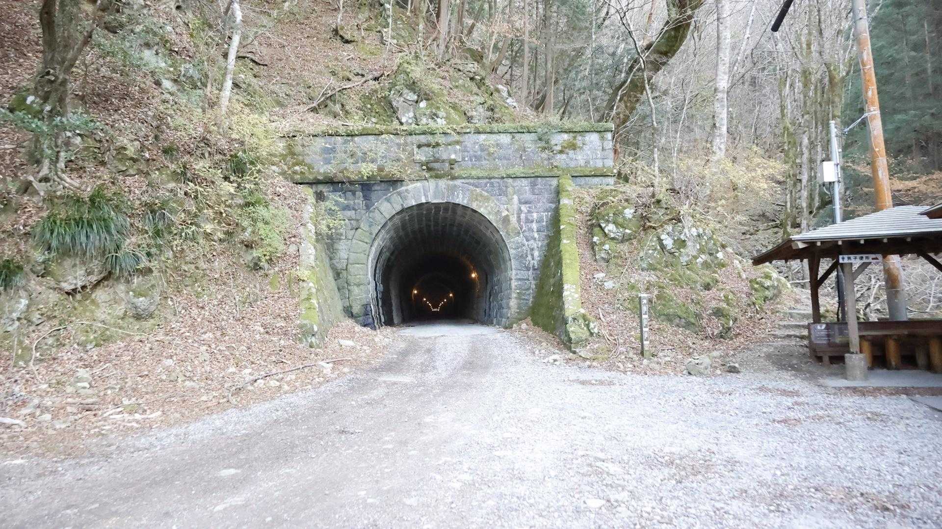 天城山縦走（万二郎岳〜万三郎岳〜小岳〜天城峠） の写真 23