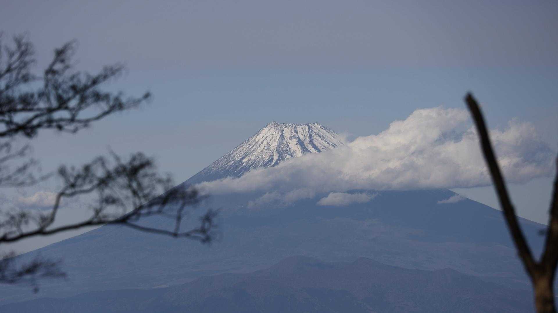 天城山縦走（万二郎岳〜万三郎岳〜小岳〜天城峠） の写真 12