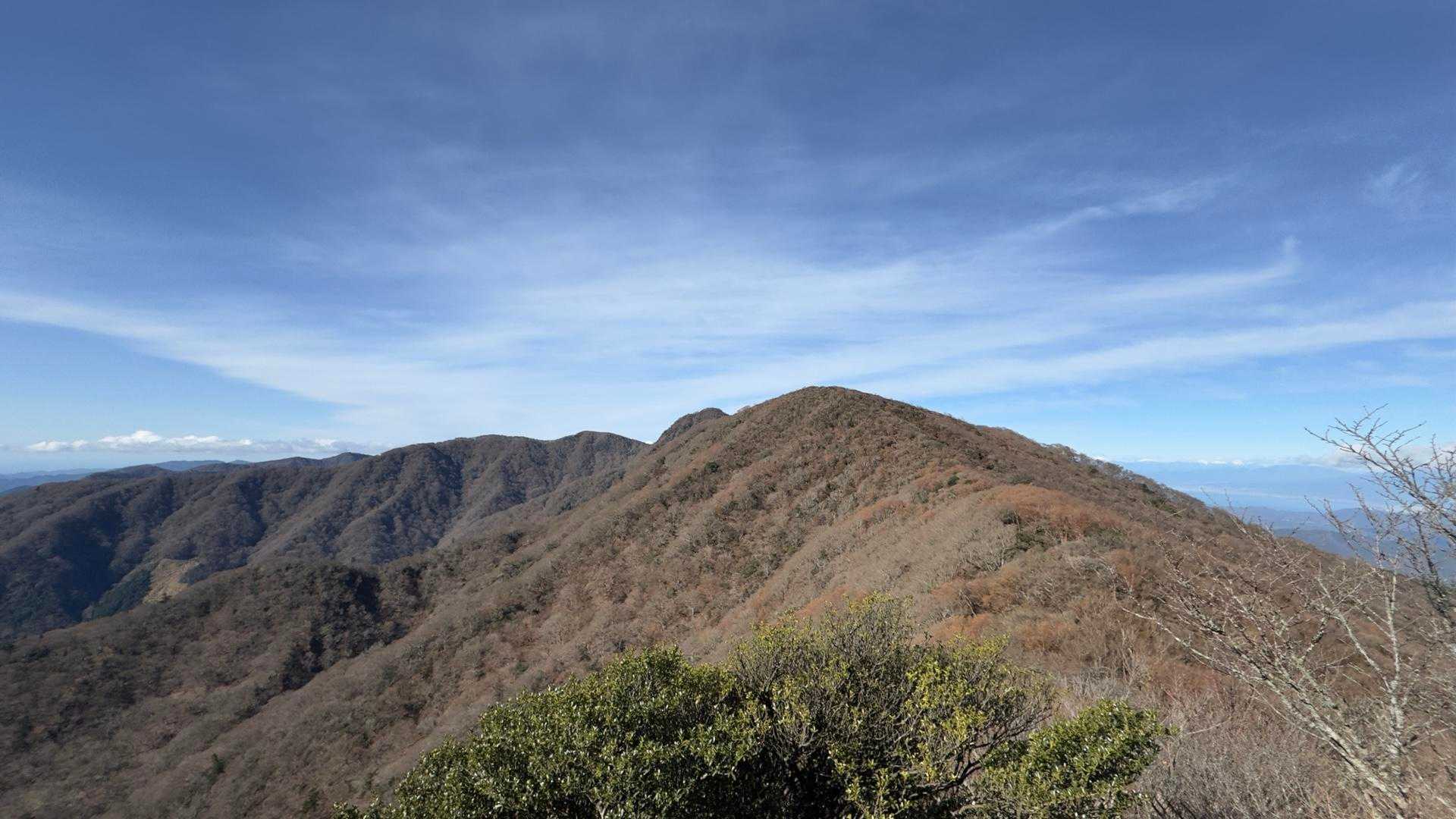 天城山縦走（万二郎岳〜万三郎岳〜小岳〜天城峠） の写真 8
