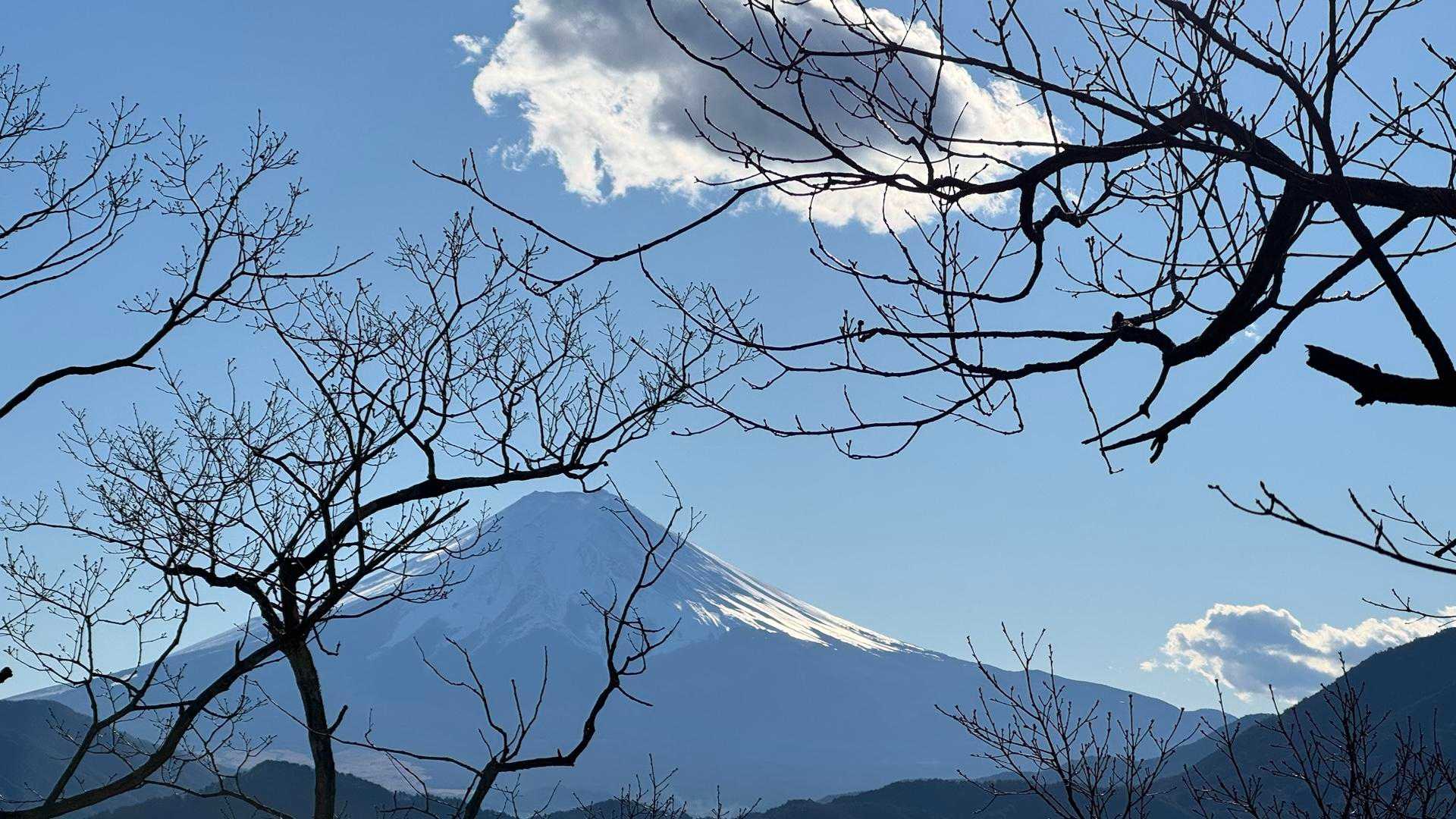 高川山（大月駅〜初狩駅）縦走 の写真 30