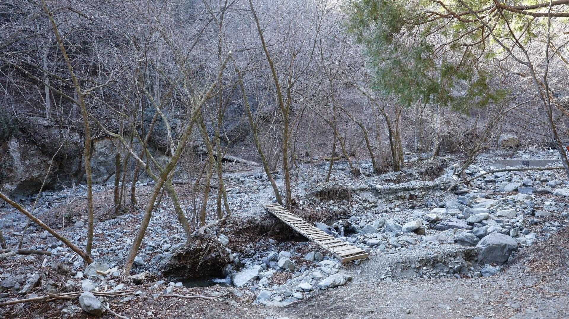 丹沢主脈縦走（檜洞丸•蛭ヶ岳•丹沢山•塔ノ岳•鍋割山） の写真 90