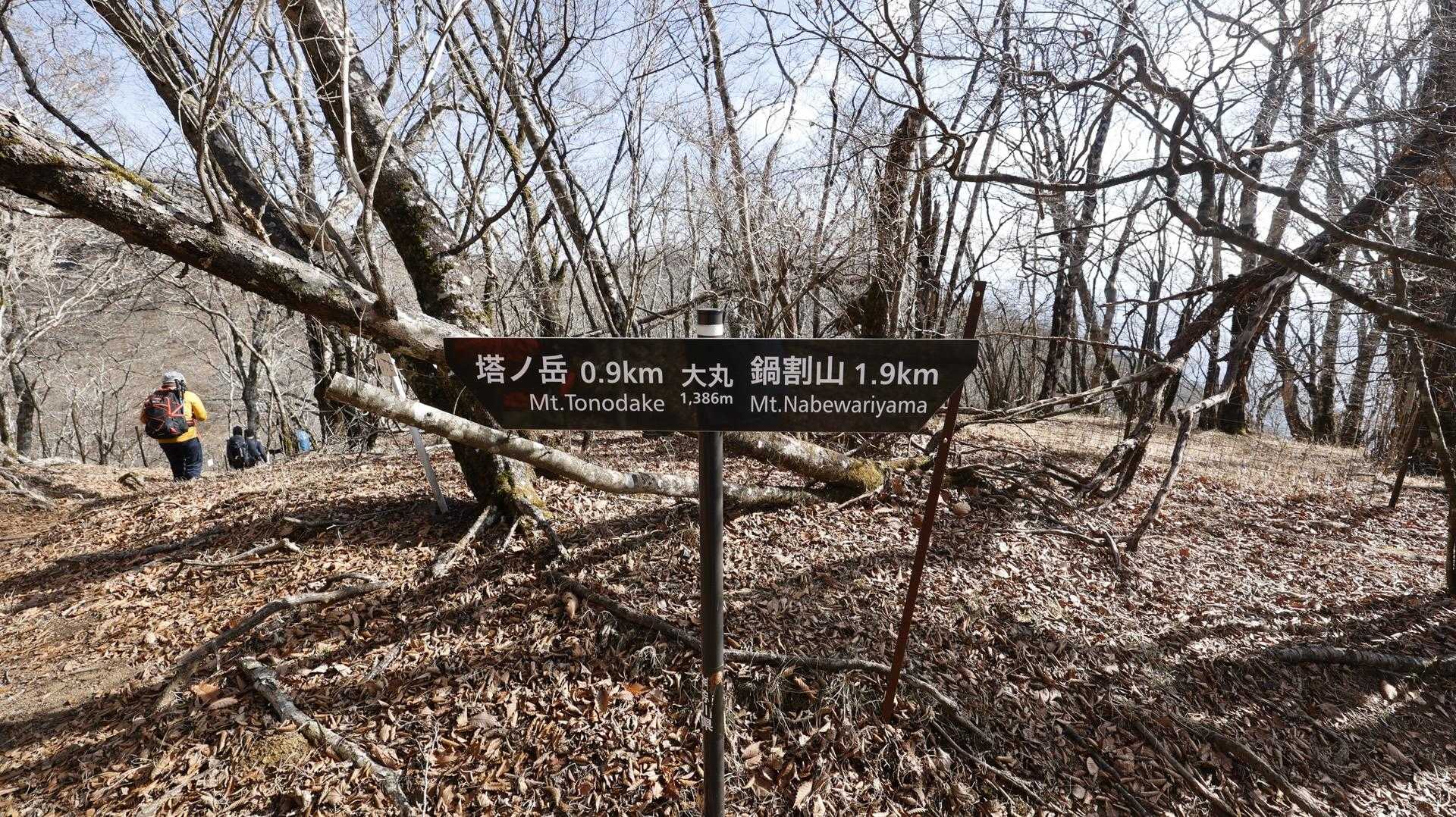 丹沢主脈縦走（檜洞丸•蛭ヶ岳•丹沢山•塔ノ岳•鍋割山） の写真 86