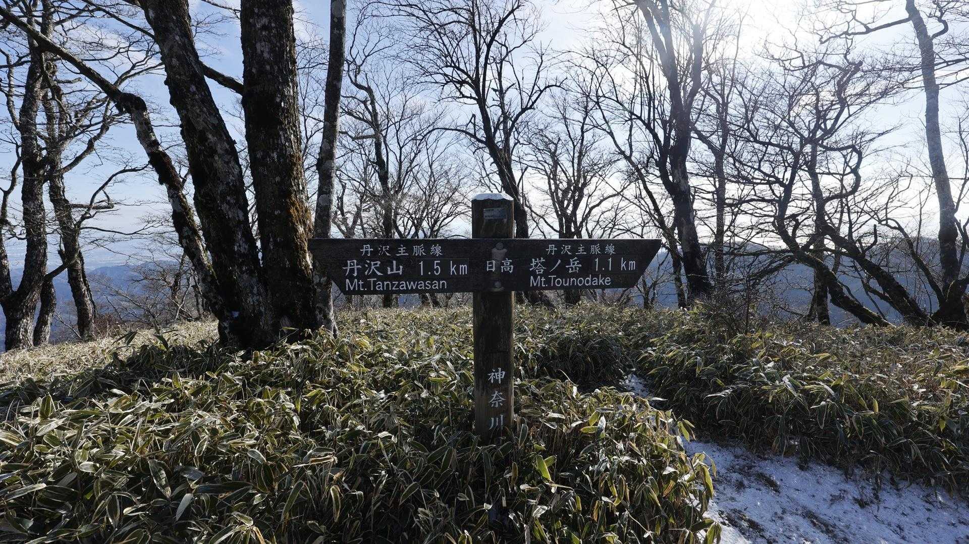 丹沢主脈縦走（檜洞丸•蛭ヶ岳•丹沢山•塔ノ岳•鍋割山） の写真 81
