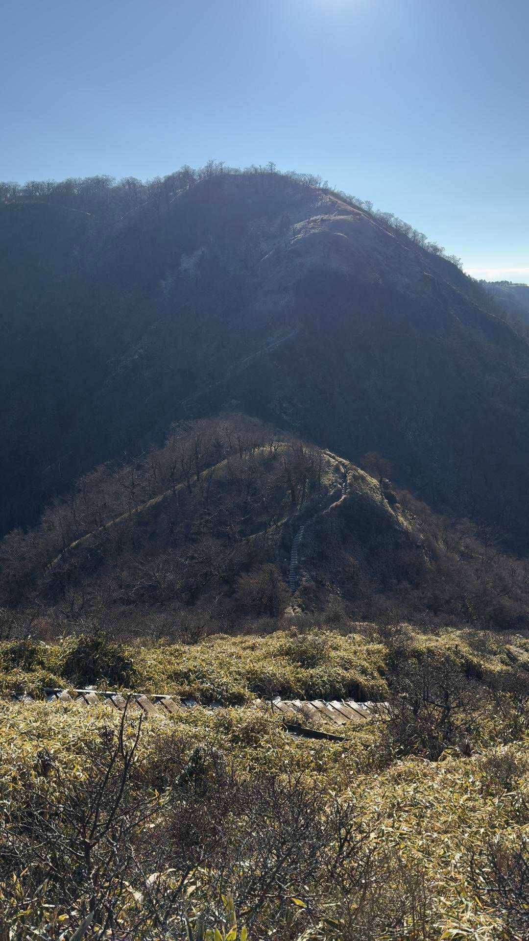 丹沢主脈縦走（檜洞丸•蛭ヶ岳•丹沢山•塔ノ岳•鍋割山） の写真 76