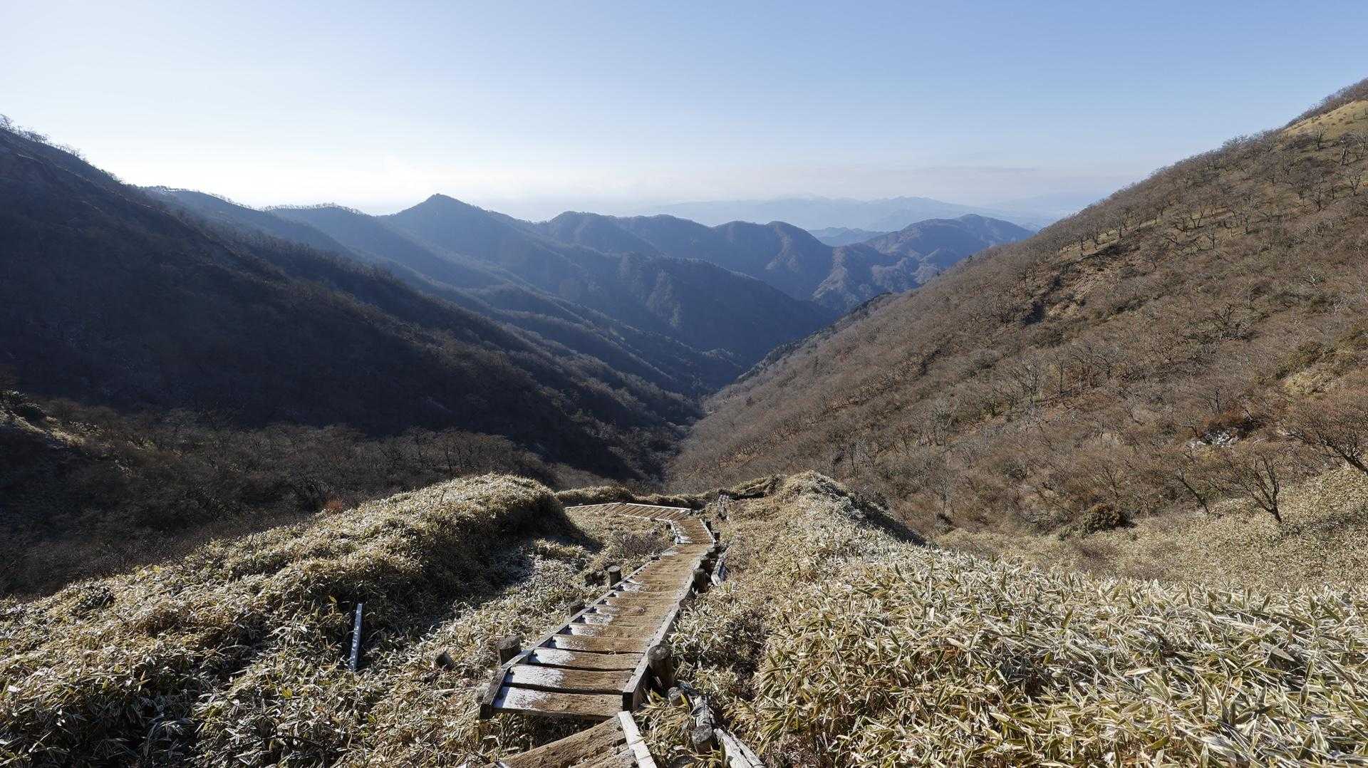 丹沢主脈縦走（檜洞丸•蛭ヶ岳•丹沢山•塔ノ岳•鍋割山） の写真 75