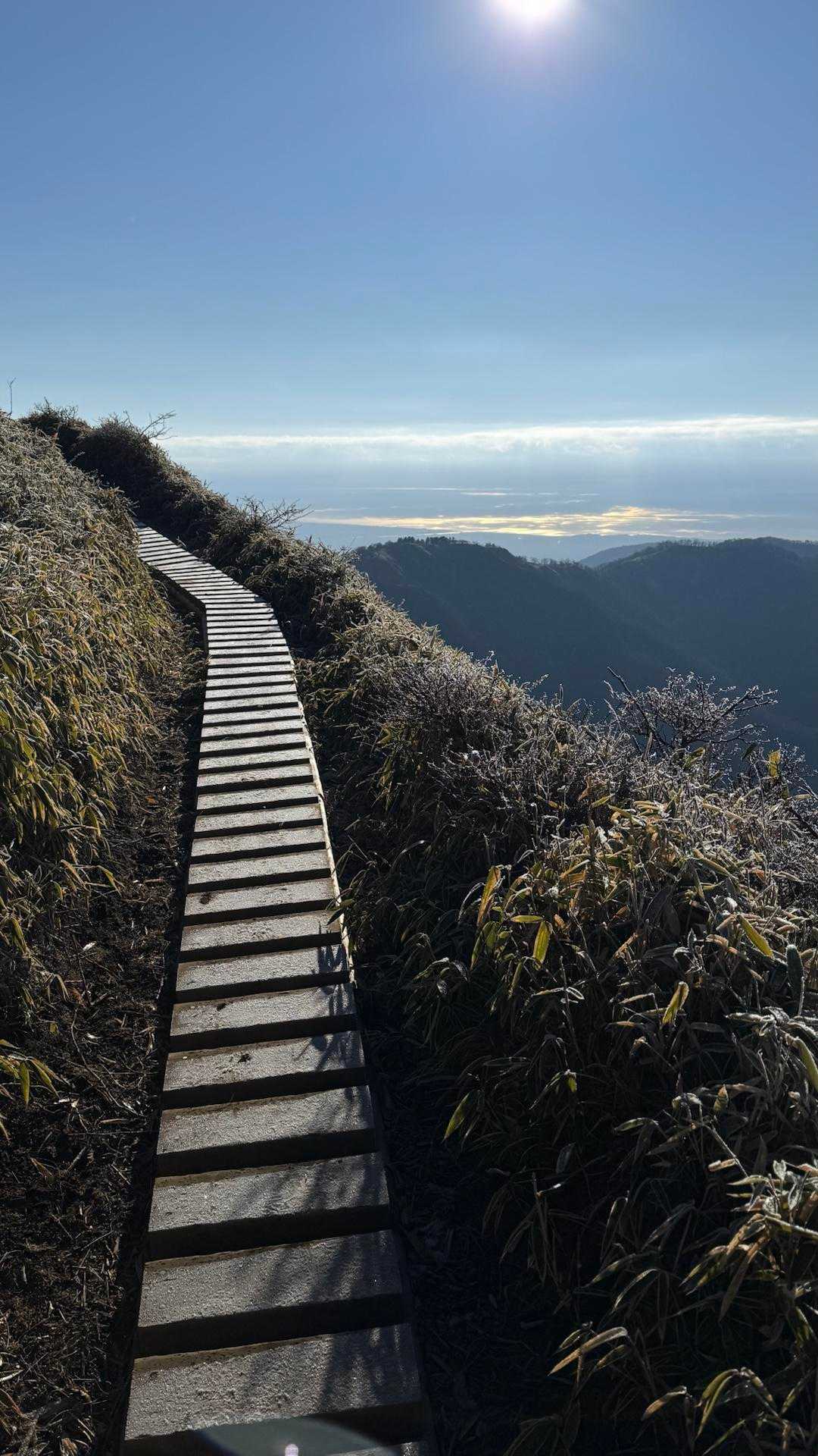 丹沢主脈縦走（檜洞丸•蛭ヶ岳•丹沢山•塔ノ岳•鍋割山） の写真 71