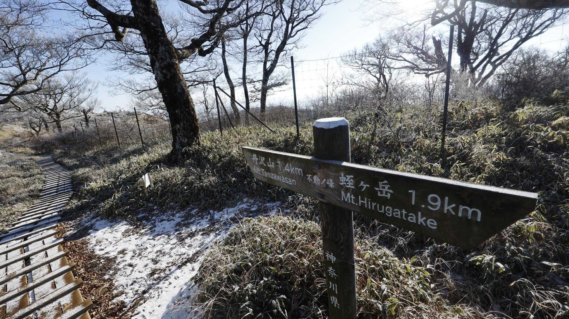 丹沢主脈縦走（檜洞丸•蛭ヶ岳•丹沢山•塔ノ岳•鍋割山） の写真 69