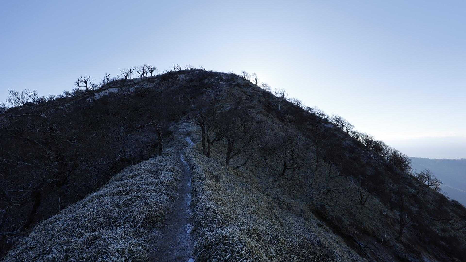 丹沢主脈縦走（檜洞丸•蛭ヶ岳•丹沢山•塔ノ岳•鍋割山） の写真 66