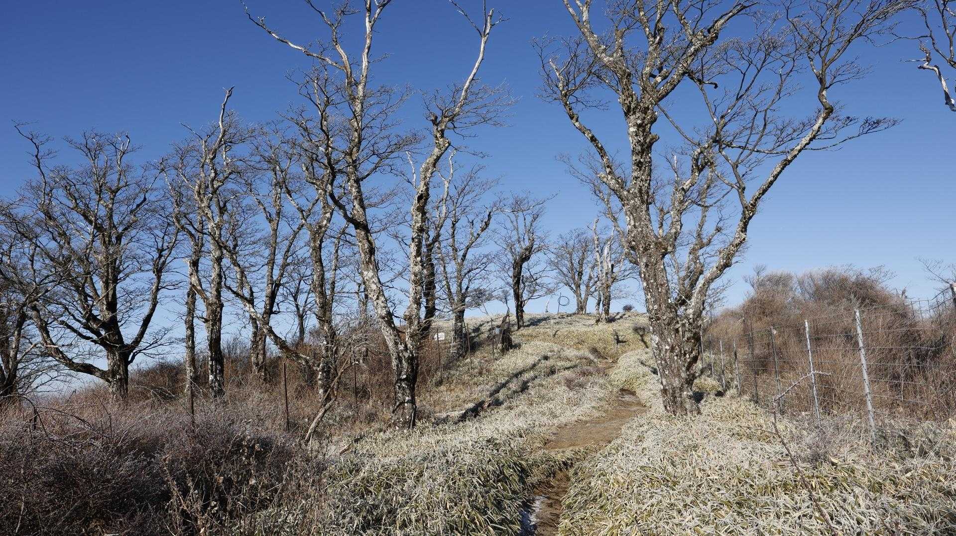 丹沢主脈縦走（檜洞丸•蛭ヶ岳•丹沢山•塔ノ岳•鍋割山） の写真 65