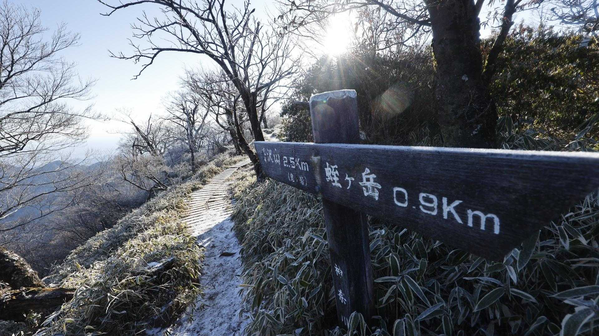 丹沢主脈縦走（檜洞丸•蛭ヶ岳•丹沢山•塔ノ岳•鍋割山） の写真 58