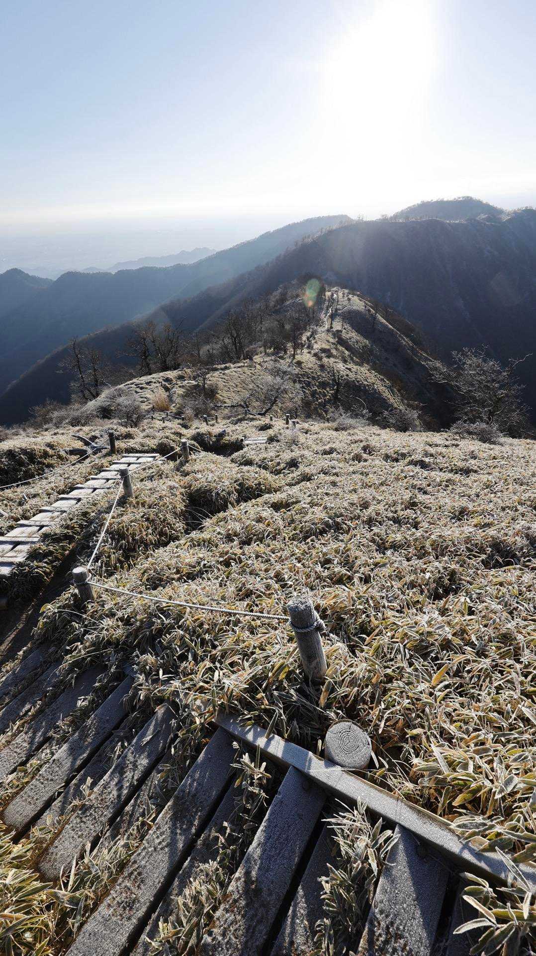 丹沢主脈縦走（檜洞丸•蛭ヶ岳•丹沢山•塔ノ岳•鍋割山） の写真 55
