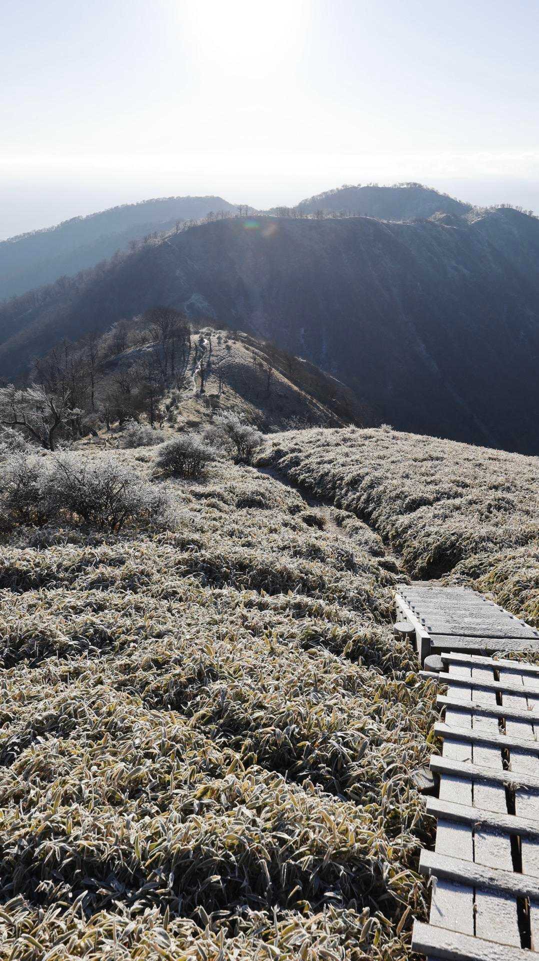 丹沢主脈縦走（檜洞丸•蛭ヶ岳•丹沢山•塔ノ岳•鍋割山） の写真 54