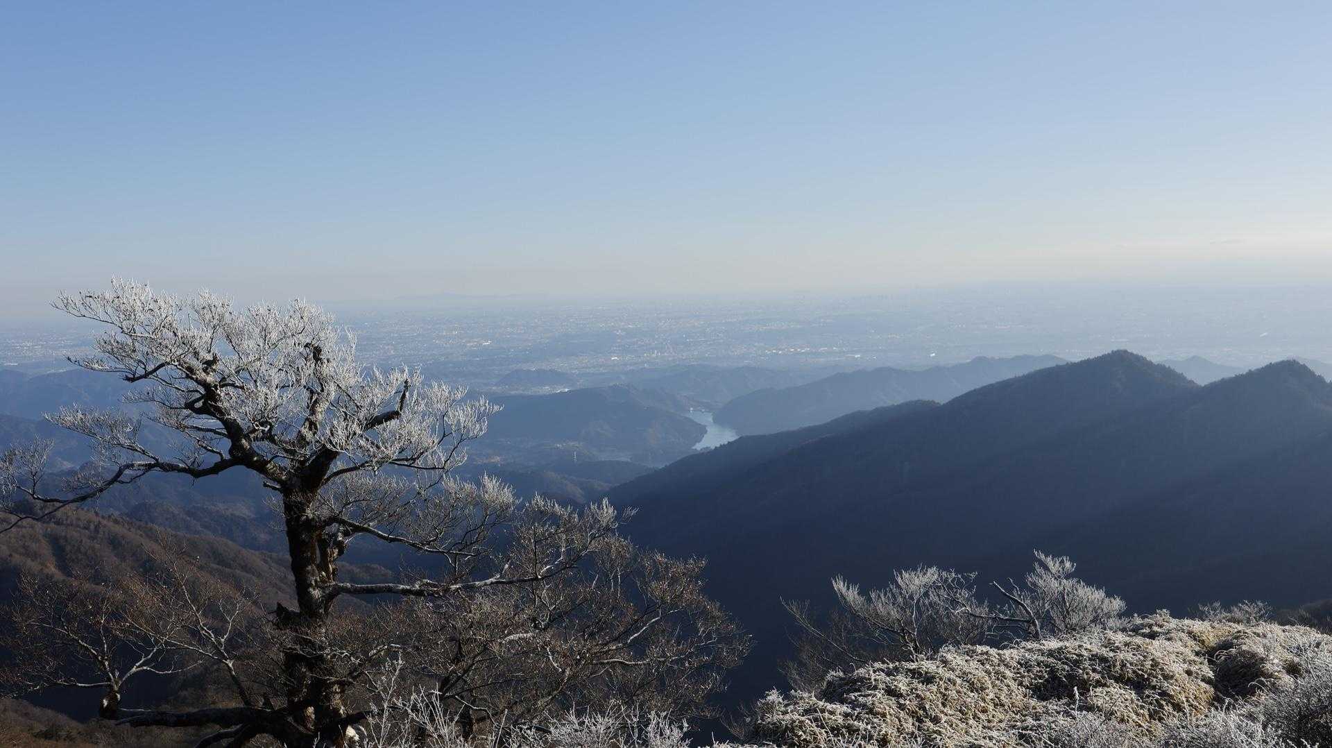 丹沢主脈縦走（檜洞丸•蛭ヶ岳•丹沢山•塔ノ岳•鍋割山） の写真 53