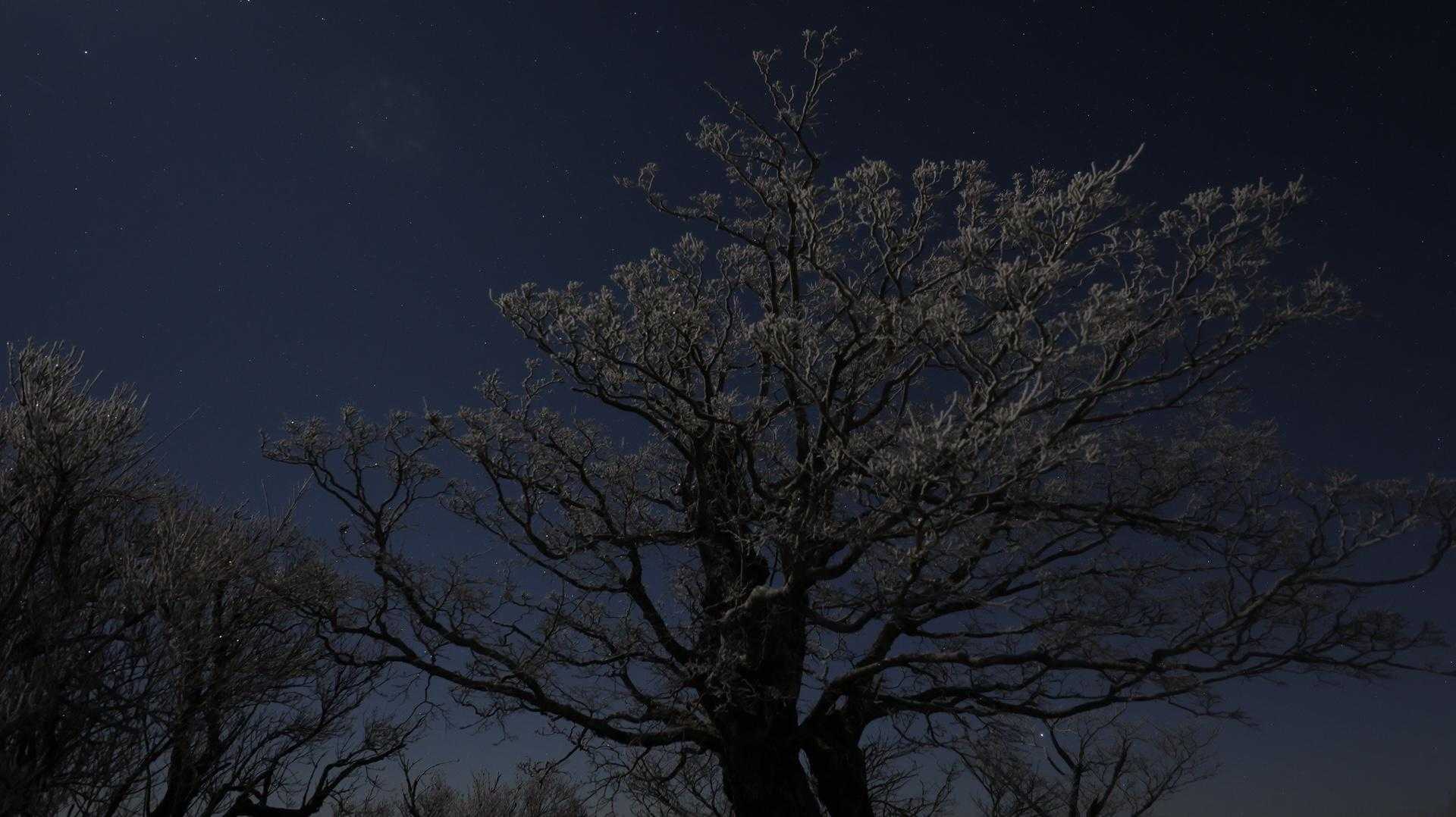 霧氷