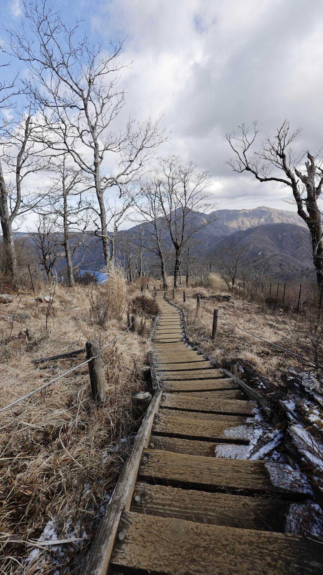 丹沢主脈縦走（檜洞丸•蛭ヶ岳•丹沢山•塔ノ岳•鍋割山） の写真 12