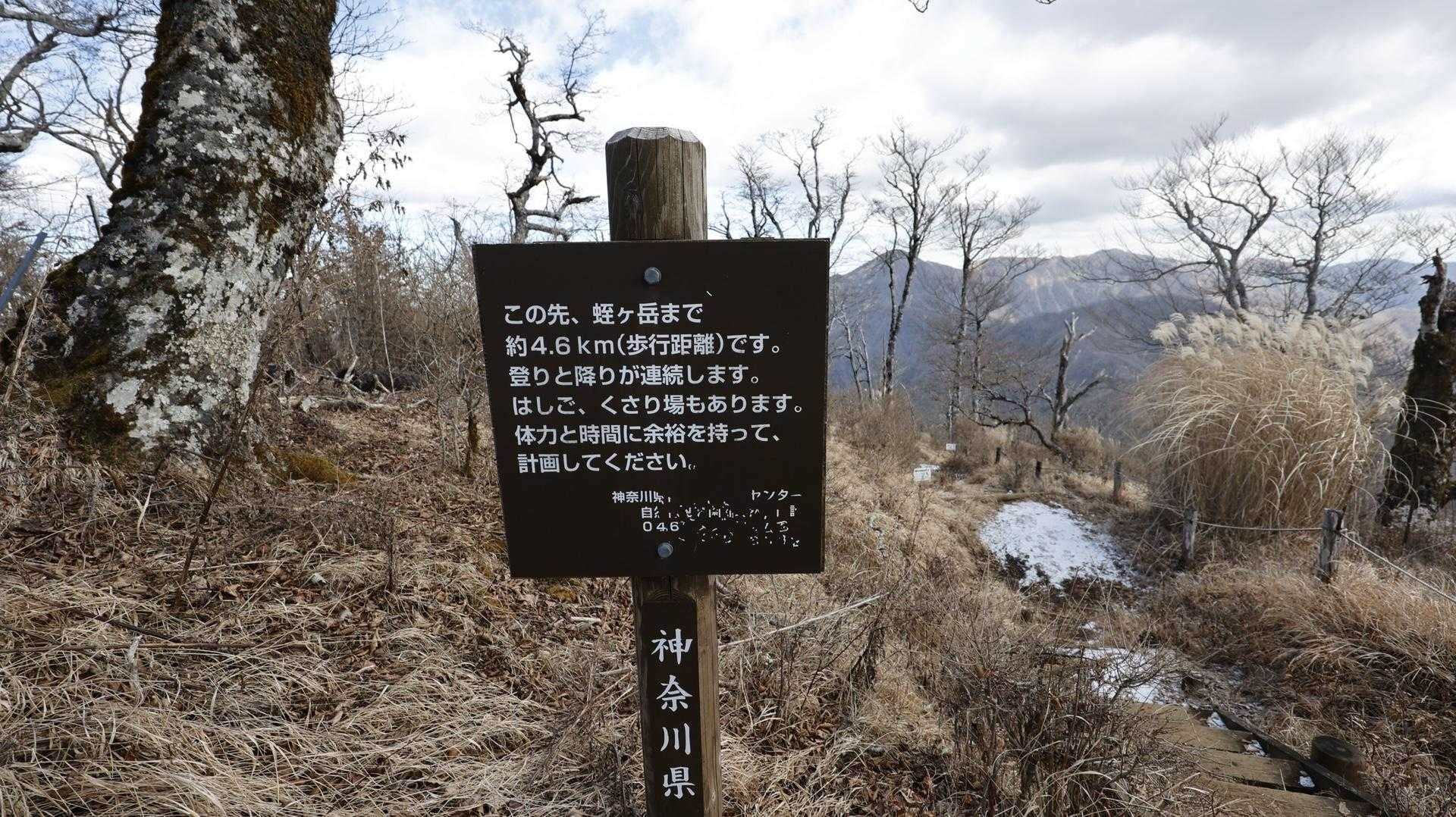 丹沢主脈縦走（檜洞丸•蛭ヶ岳•丹沢山•塔ノ岳•鍋割山） の写真 11