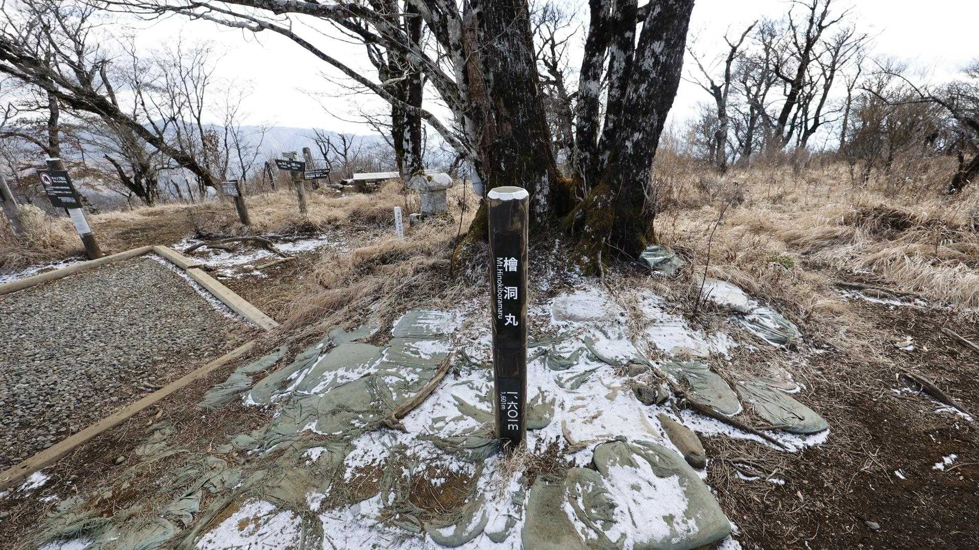 檜洞丸山頂