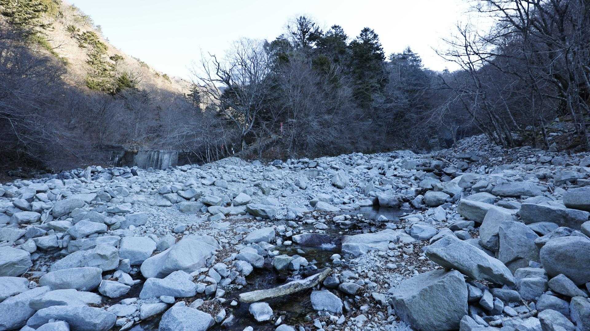 丹沢主脈縦走（檜洞丸•蛭ヶ岳•丹沢山•塔ノ岳•鍋割山） の写真 7