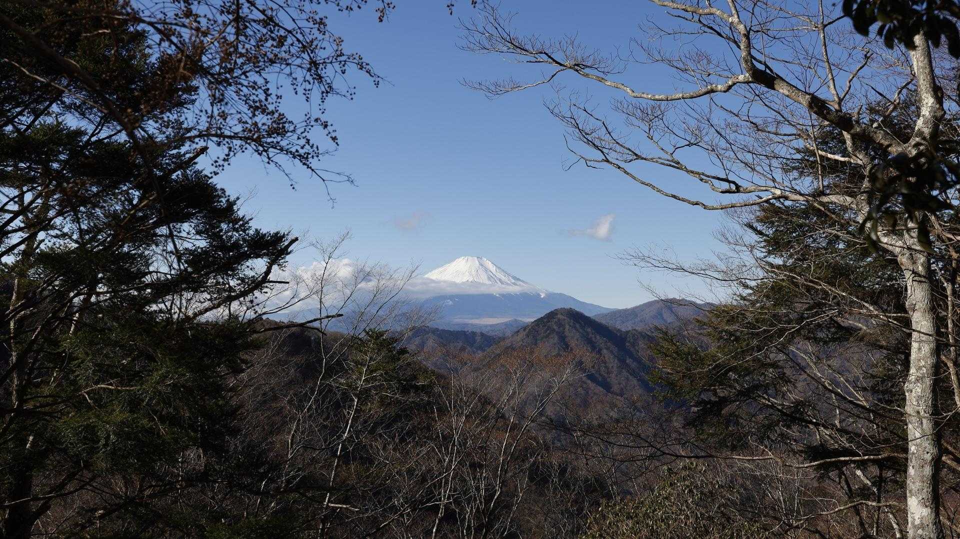 展望園地からの富士山