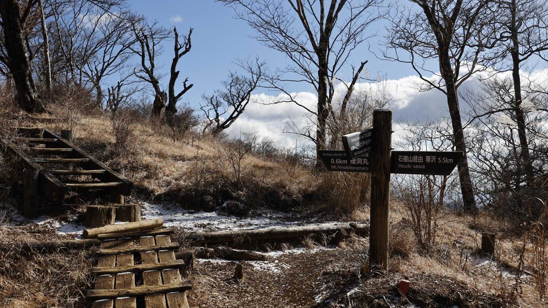 丹沢主脈縦走（檜洞丸•蛭ヶ岳•丹沢山•塔ノ岳•鍋割山） の写真 9