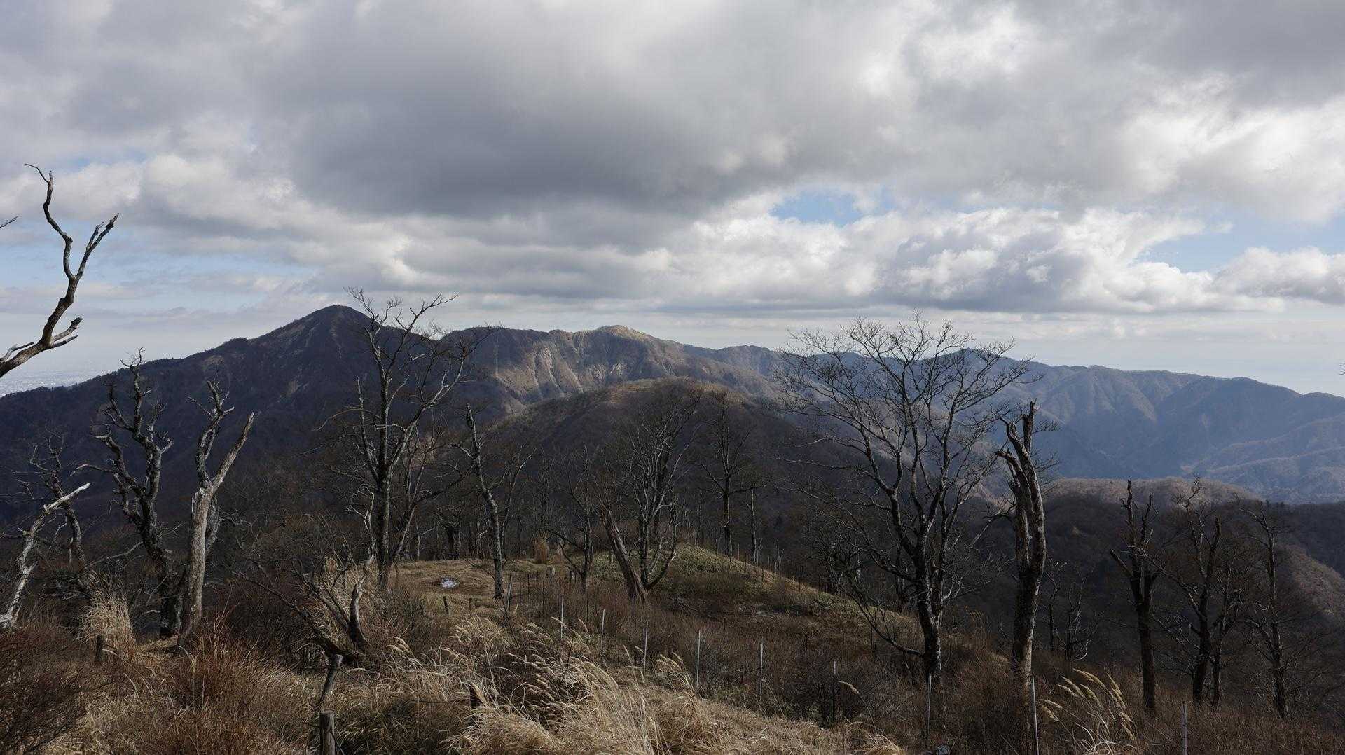 丹沢主脈縦走（檜洞丸•蛭ヶ岳•丹沢山•塔ノ岳•鍋割山） の写真 14