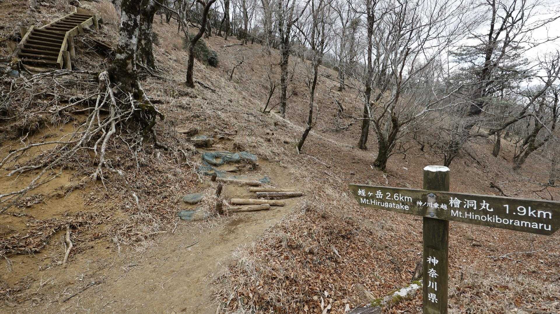 丹沢主脈縦走（檜洞丸•蛭ヶ岳•丹沢山•塔ノ岳•鍋割山） の写真 18