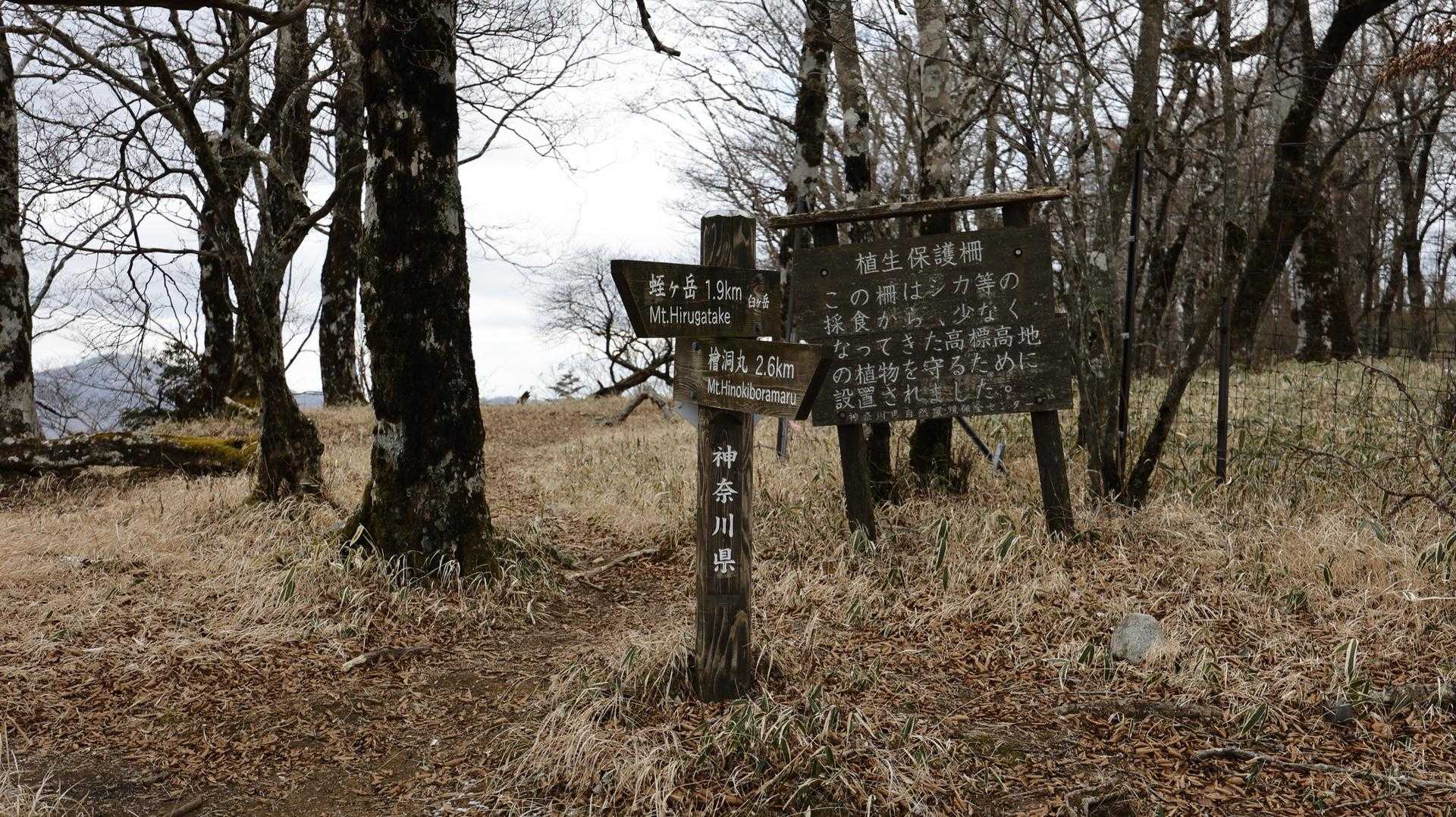 丹沢主脈縦走（檜洞丸•蛭ヶ岳•丹沢山•塔ノ岳•鍋割山） の写真 22