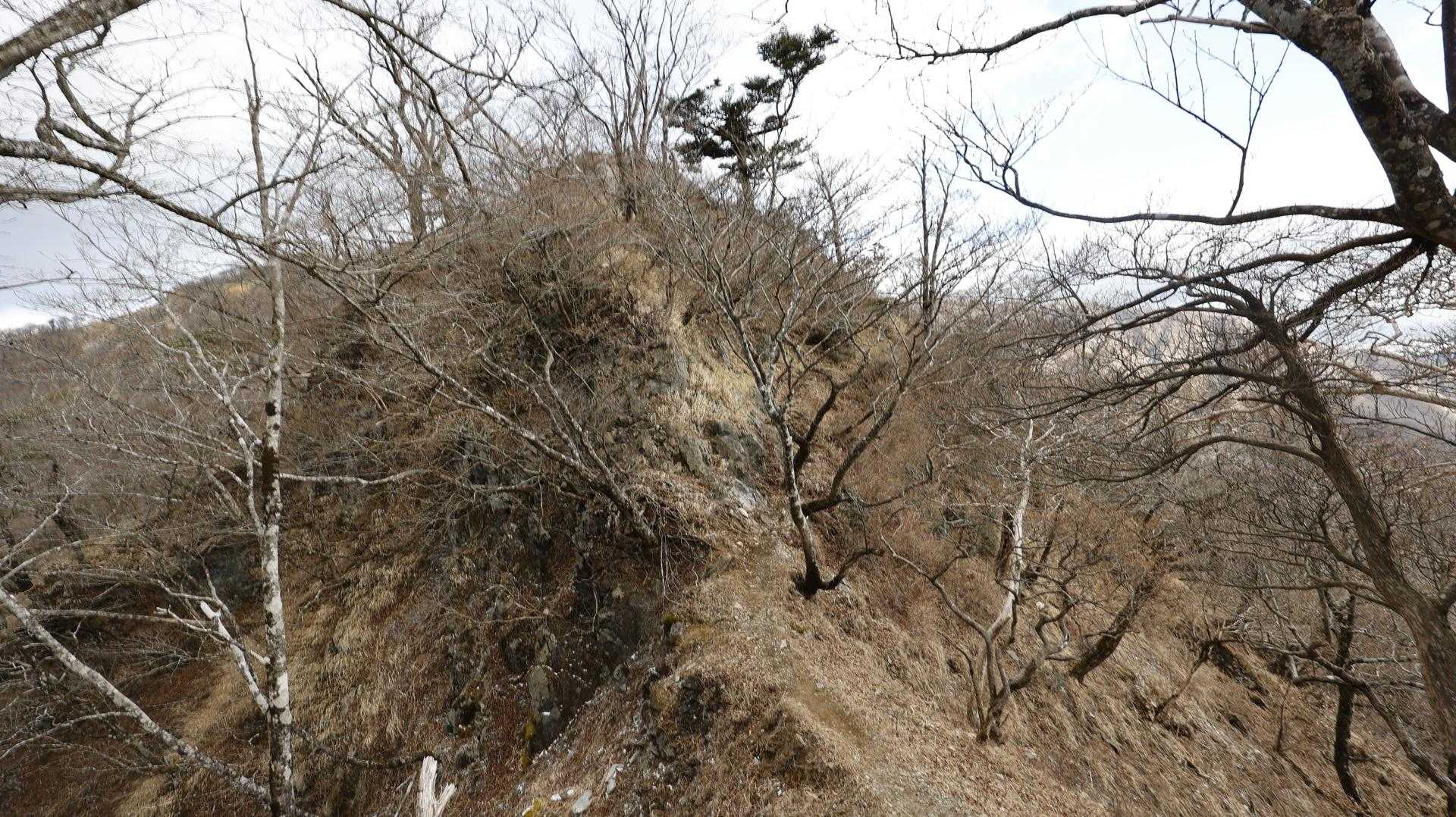 丹沢主脈縦走（檜洞丸•蛭ヶ岳•丹沢山•塔ノ岳•鍋割山） の写真 23
