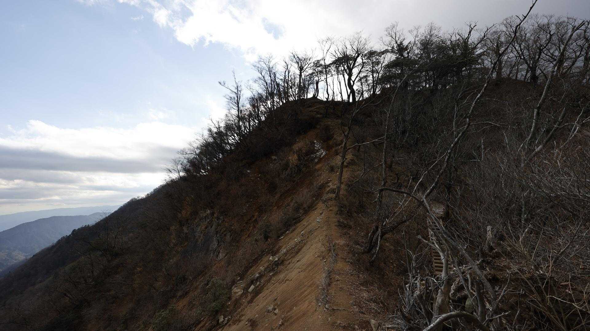丹沢主脈縦走（檜洞丸•蛭ヶ岳•丹沢山•塔ノ岳•鍋割山） の写真 27